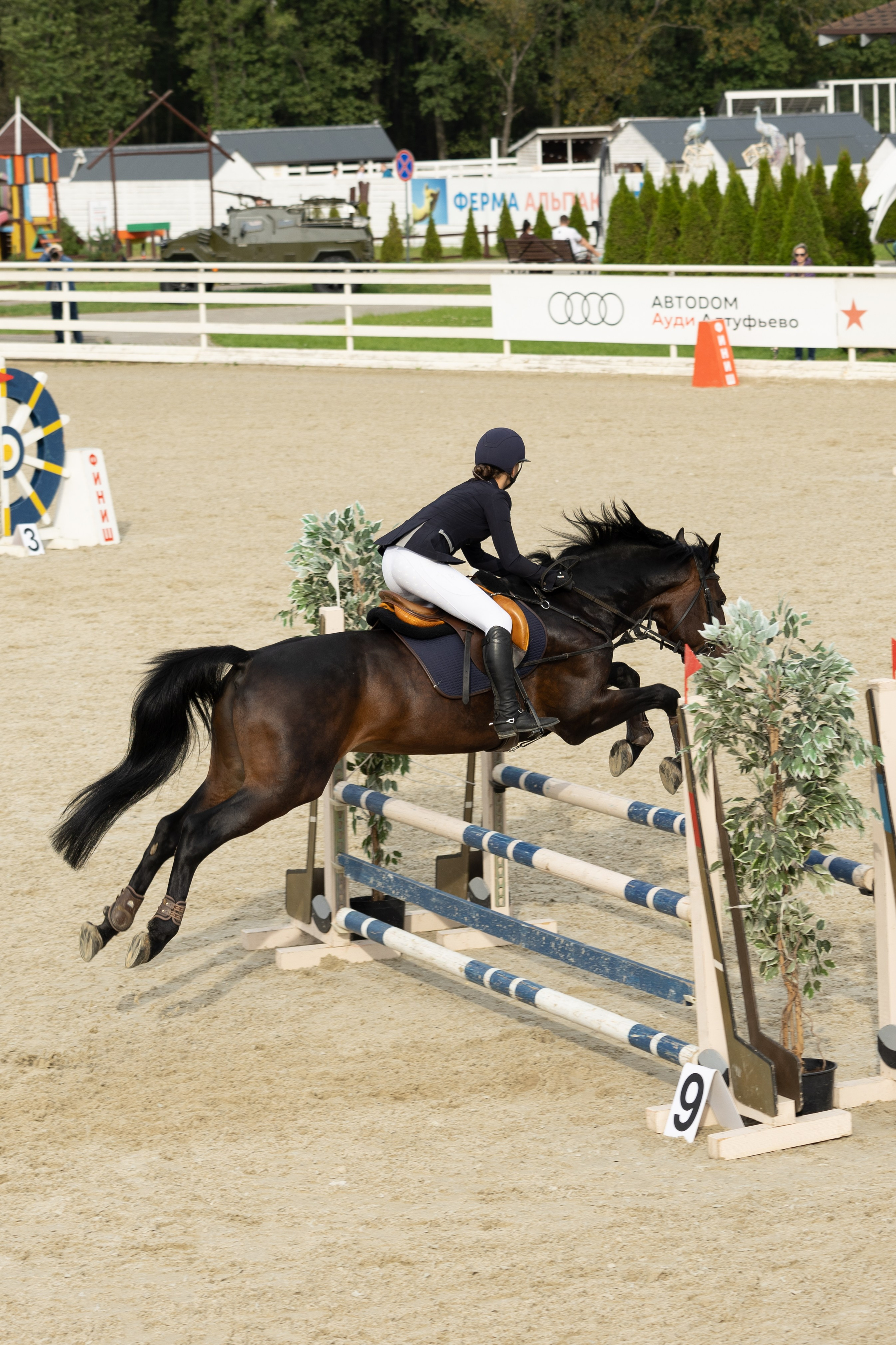 Соревнования по конкуру. Фотограф в Москве Светлана Богначева