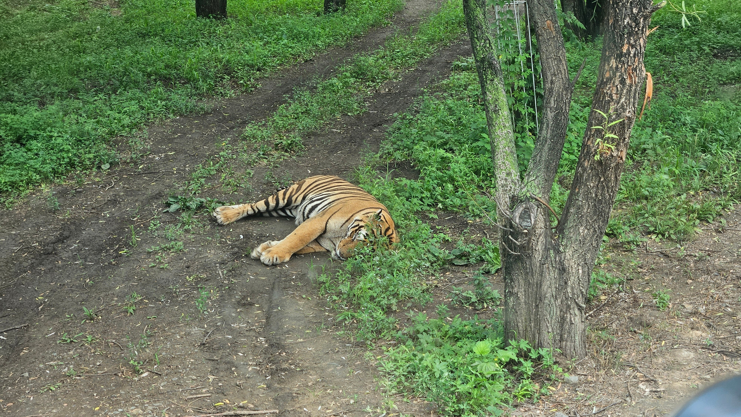 Китай. Июль 2025