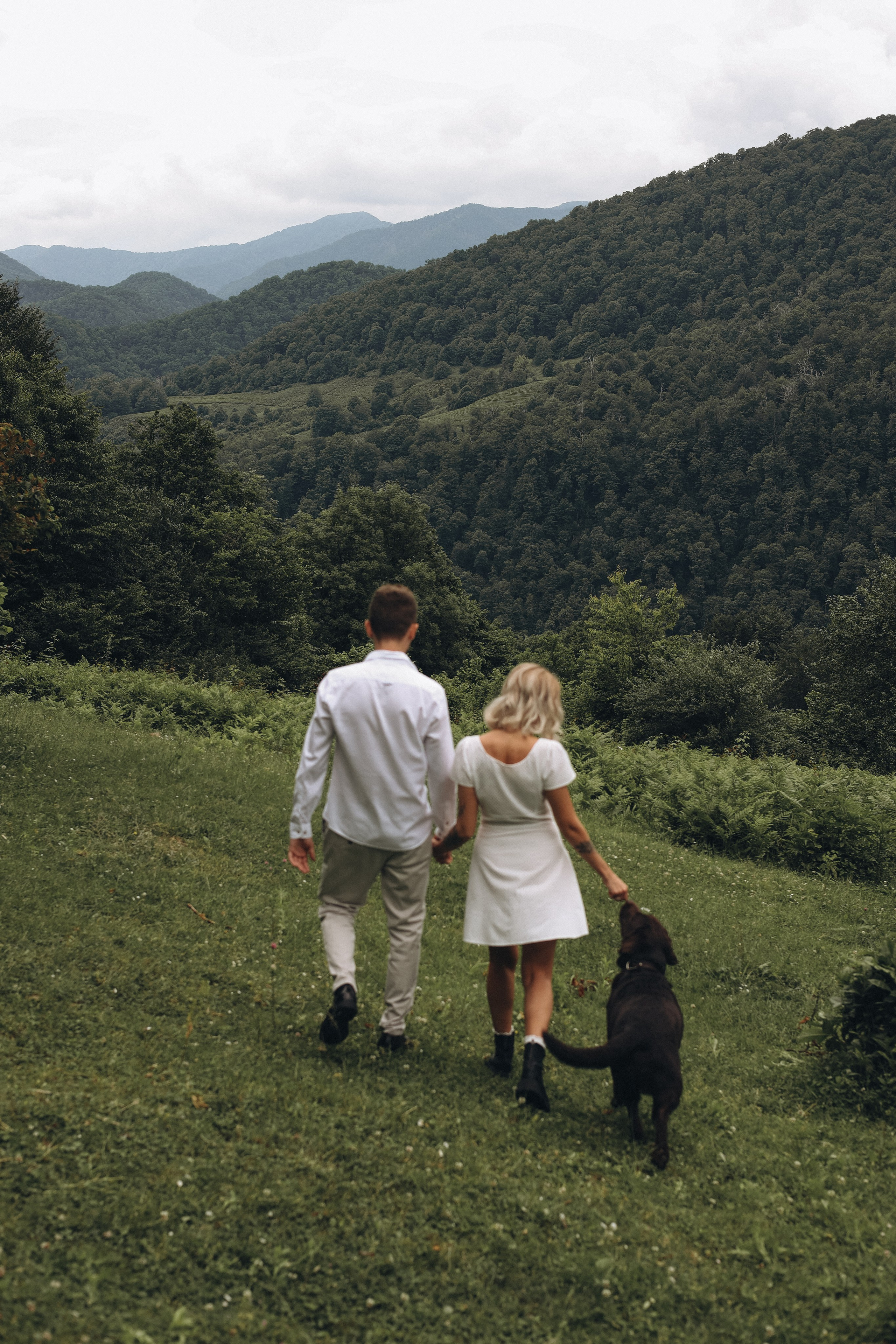 Наташа, Ваня и Люк. Главная