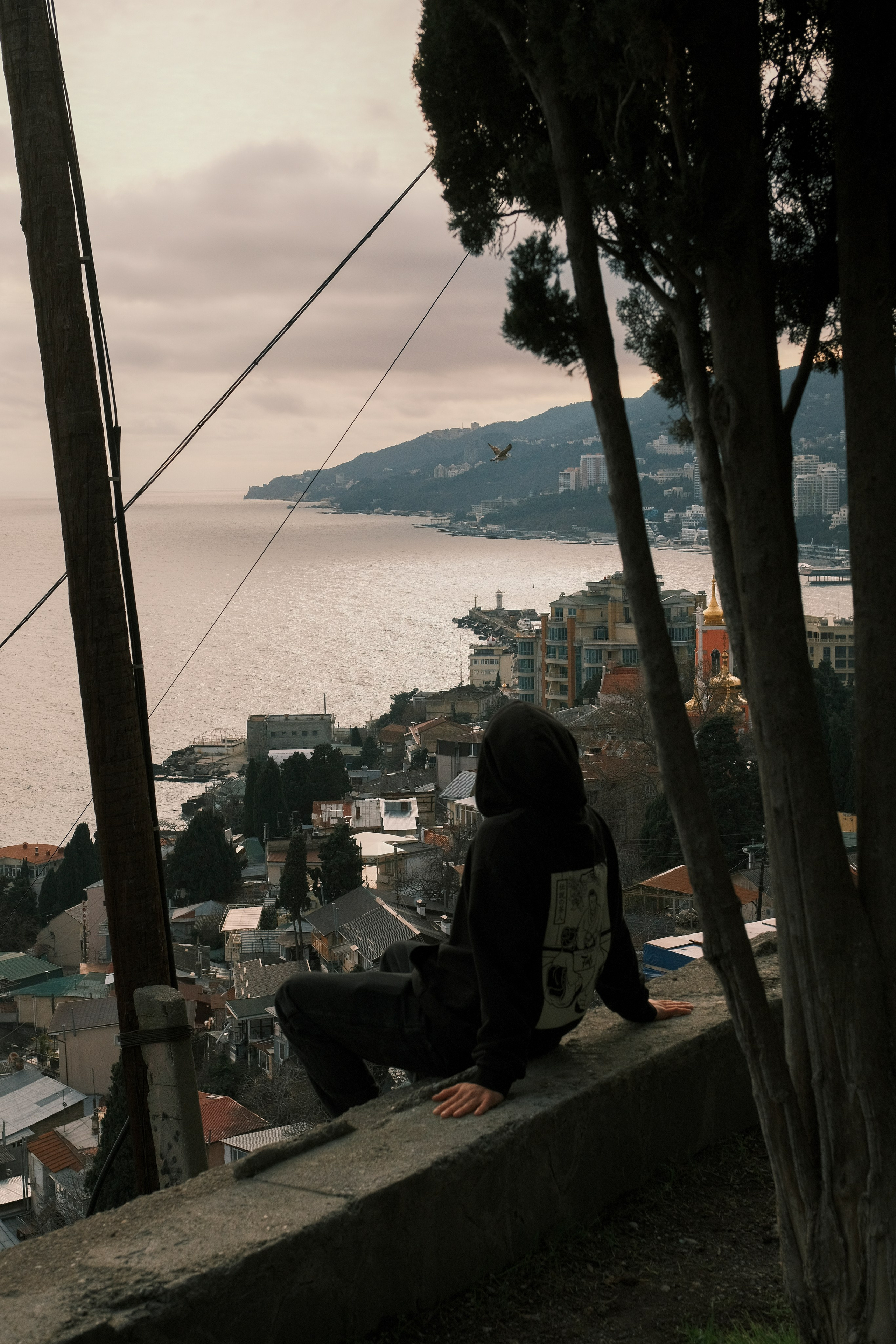 Fine & Summer Jam. Фотограф, видеограф в Санкт-Петербурге