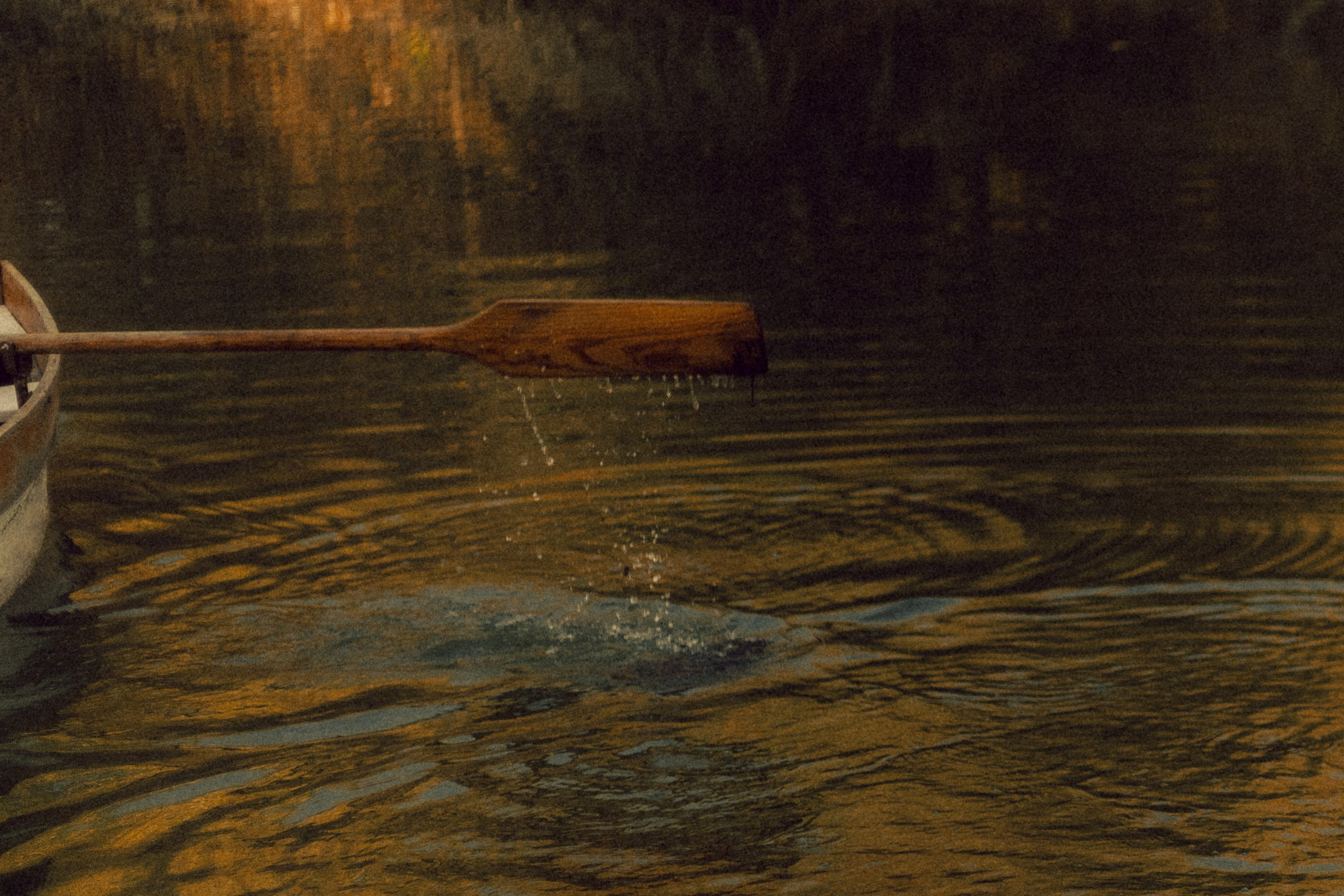 Игорь и Лера. Фотограф свадебных и парных историй Кристина Шакула