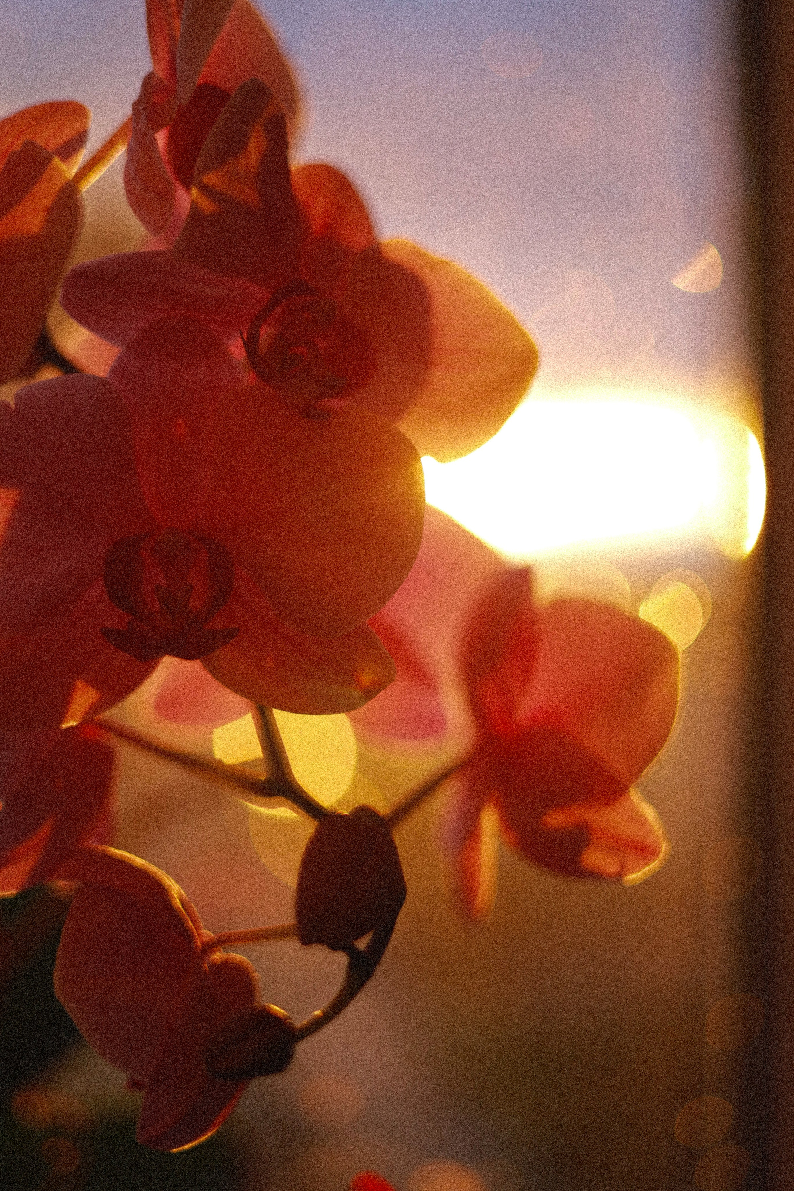 Все, что вокруг меня. Фотограф Евгения Ошкина, Саранск