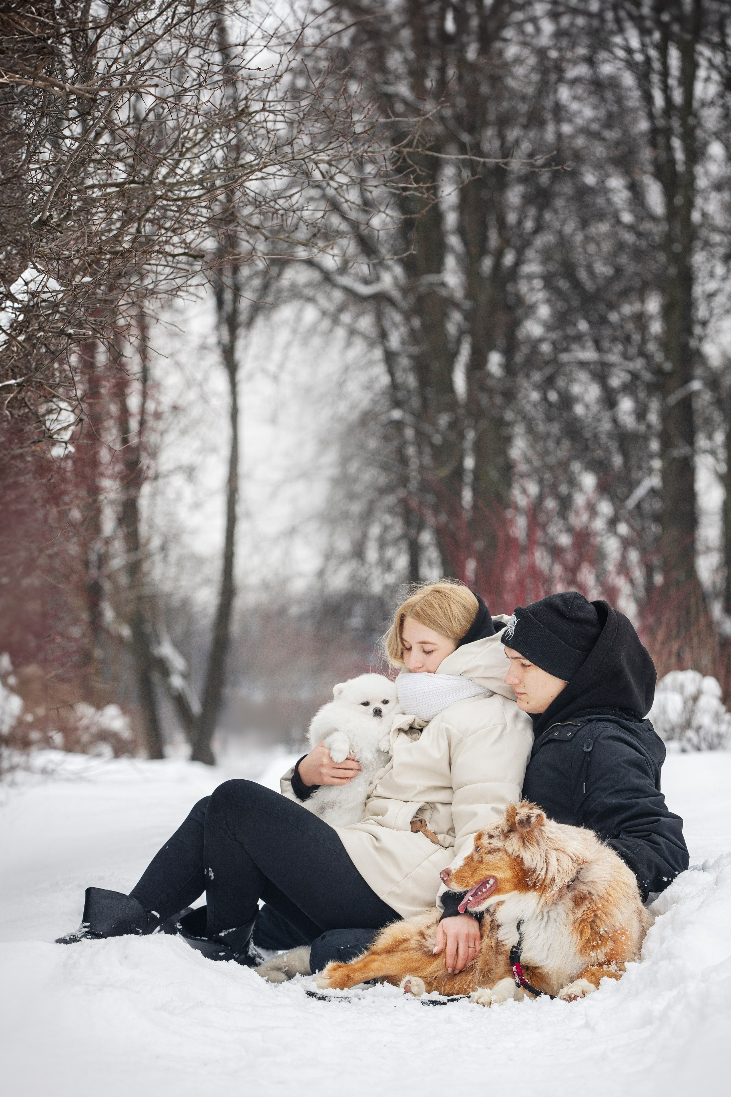 Настя, Игорь, Тесс и Марс. Фотограф анималист в Москве Майорова Евгения