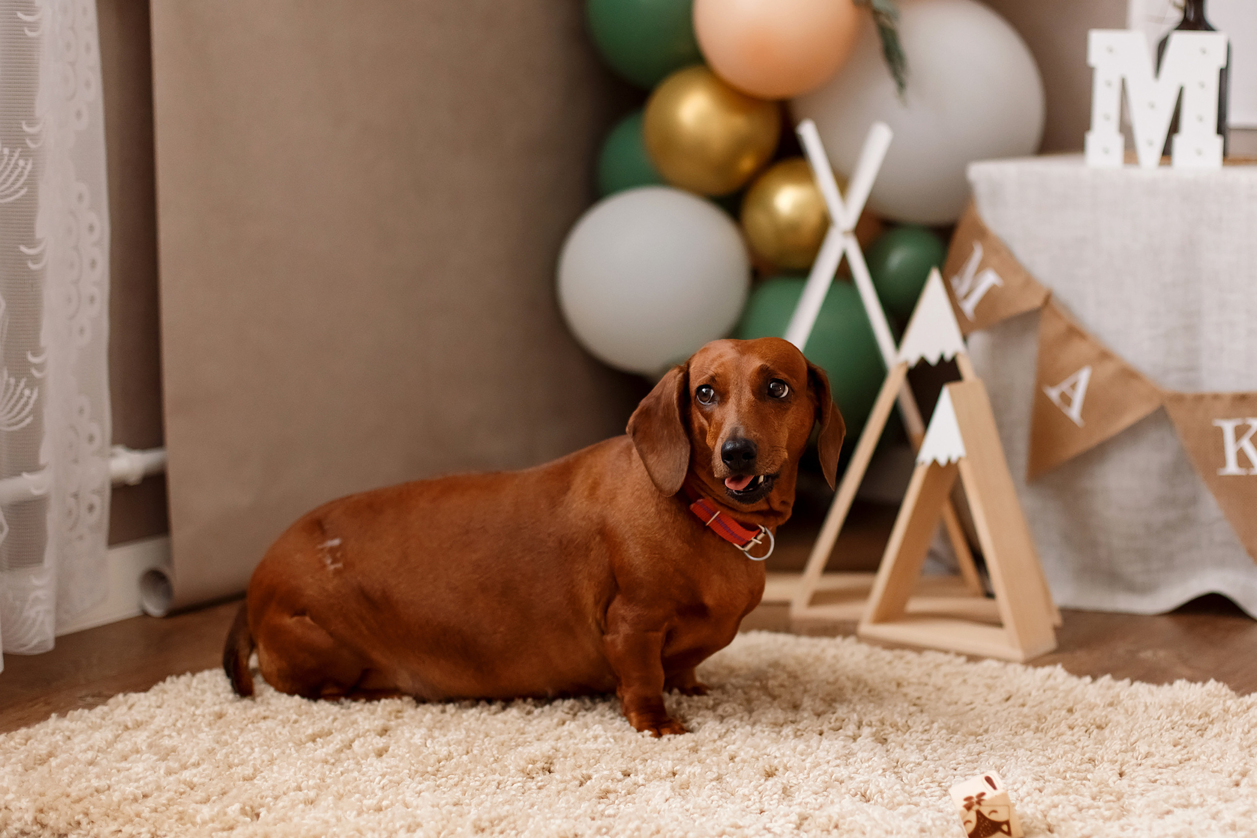 Домашняя фотосессия. Фотограф Любовь Корниенко, Примоский край
