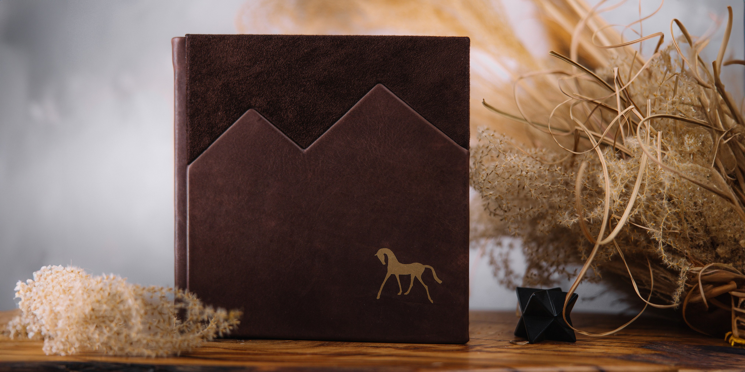 Фотокнига серии Бриана с горами