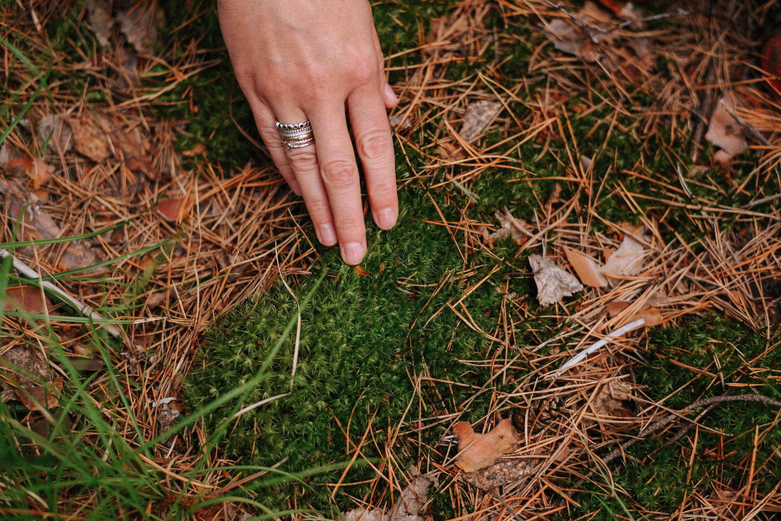 Маленькая хозяйка большого Мира. Детский и семейный фотограф в Новосибирске Саша Дорошенко