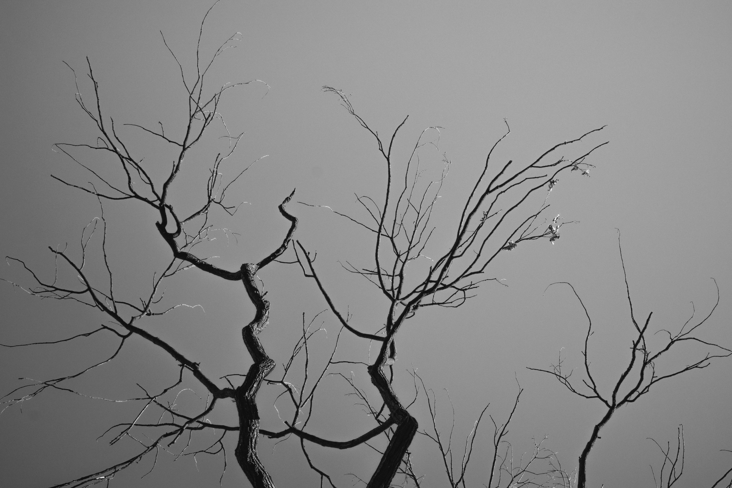 STREET. Портретный и репортажный фотограф в Санкт-Петербурге Максим Пашков