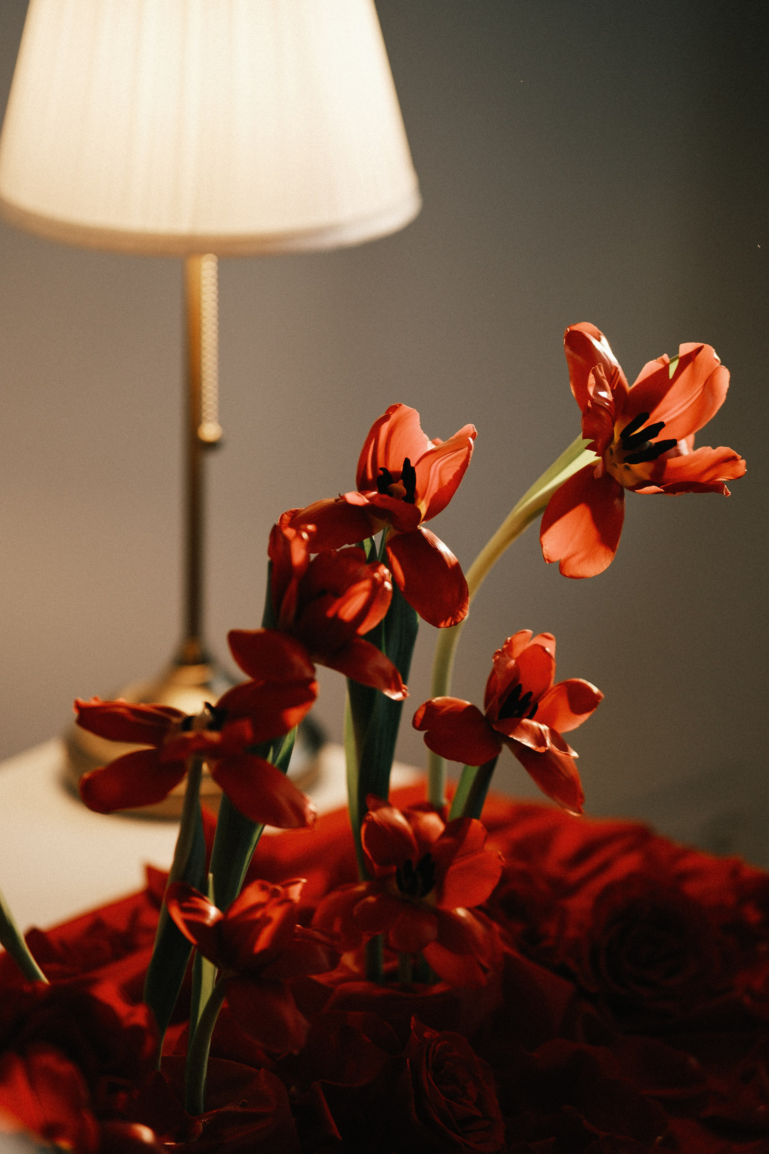 RED. Свадебный и семейный фотограф Барнаул Рубцовск Бийск Алтайский край