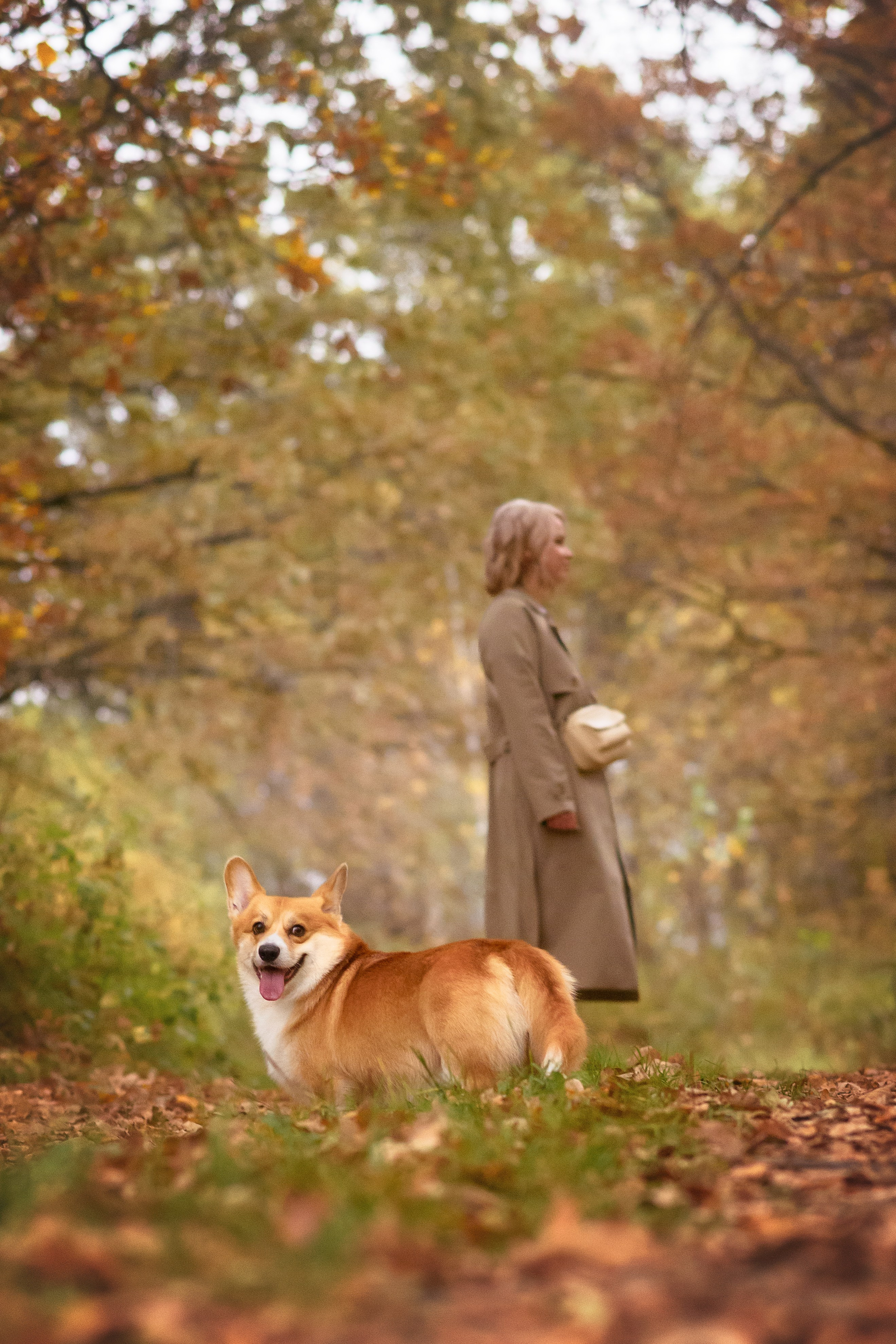 Женя и Феникс — 05.10.2024. Фотограф — Анималист | Анна Абрамова