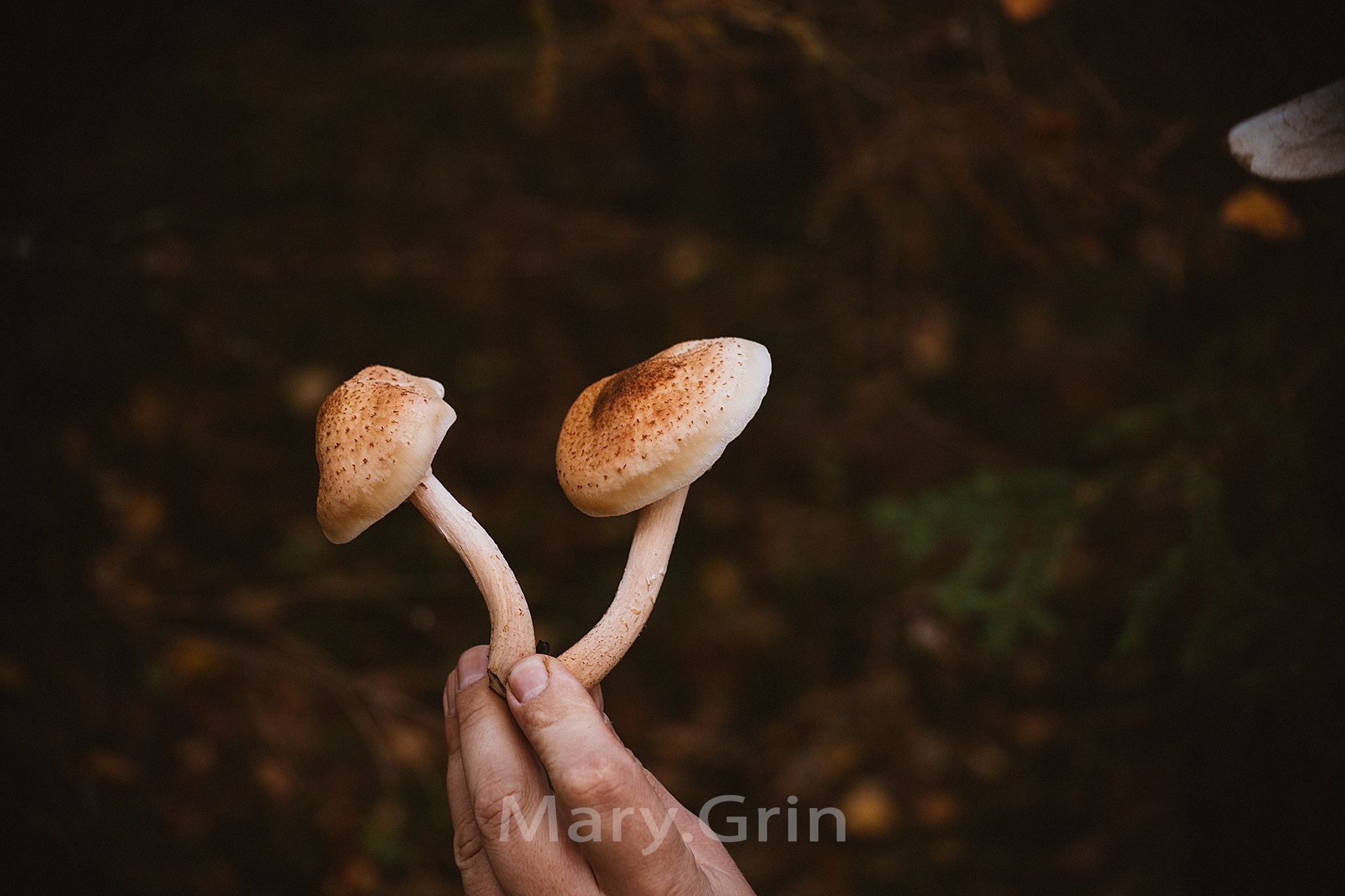 Русская деревня. Детский и семейный фотограф, фотограф мероприятий Нижний Новгород