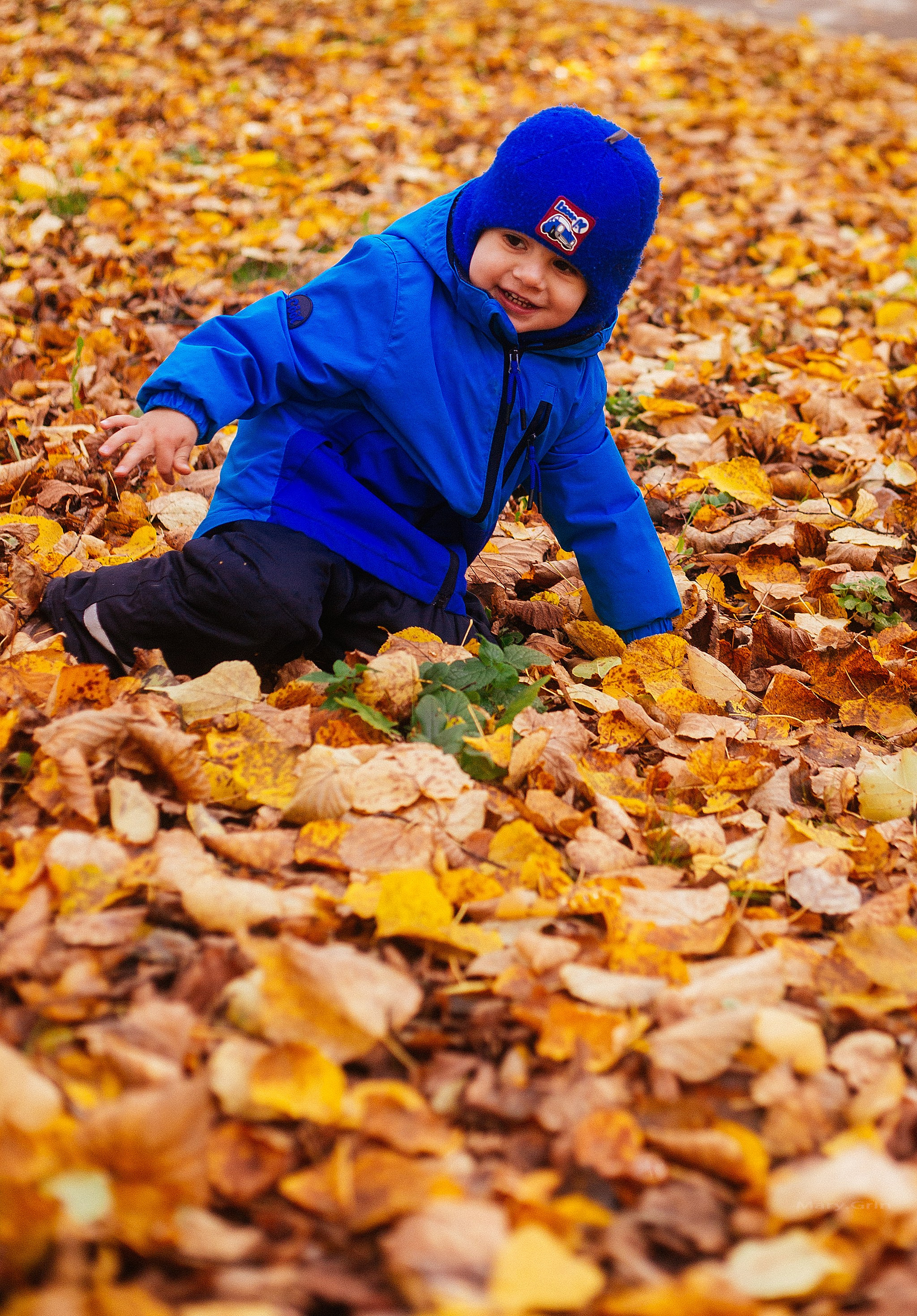 Осень в парке. Детский и семейный фотограф, фотограф мероприятий Нижний Новгород