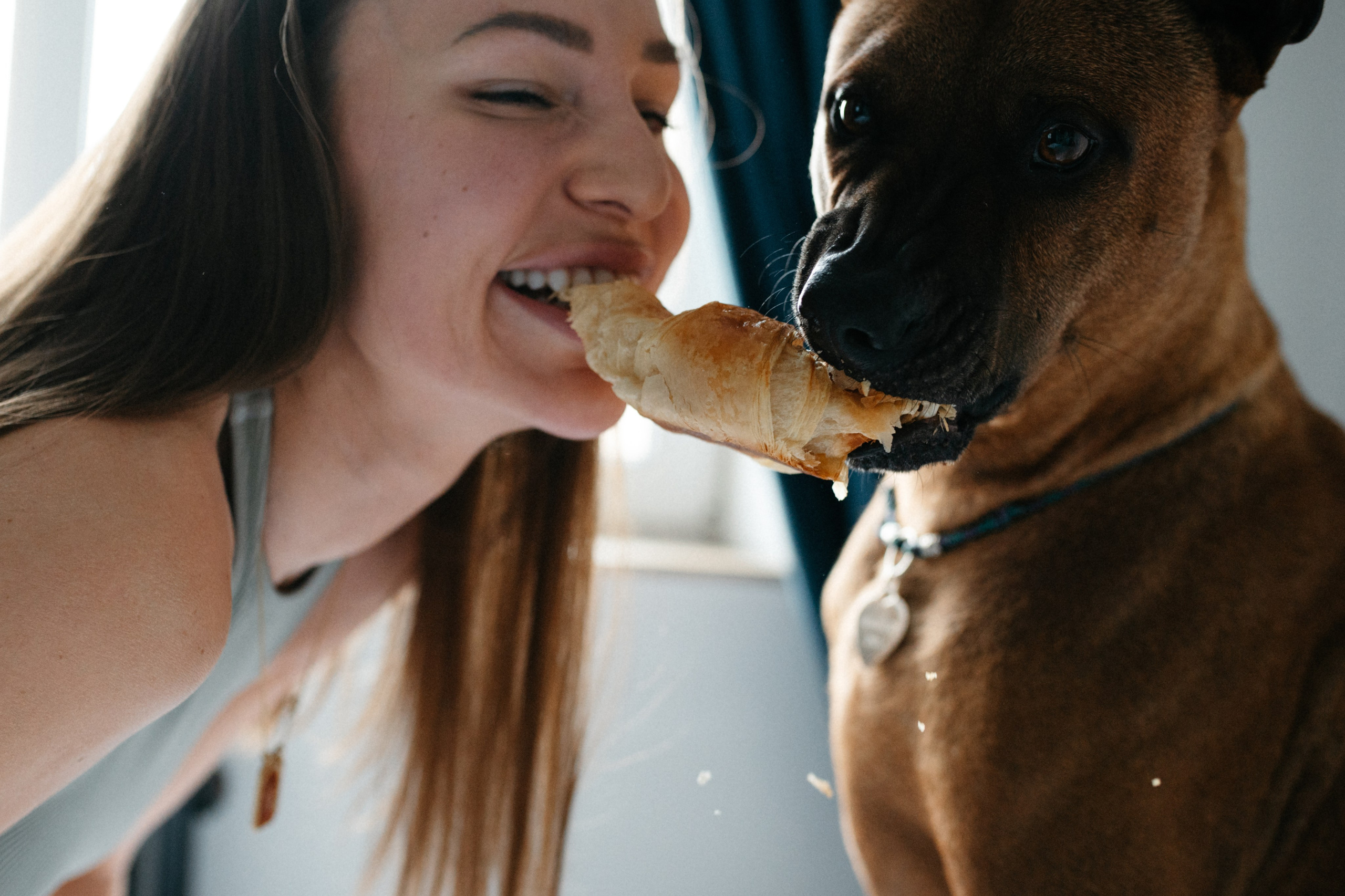 Оксана и Зевс. Фотограф анималист в Москве Ольга Агушева