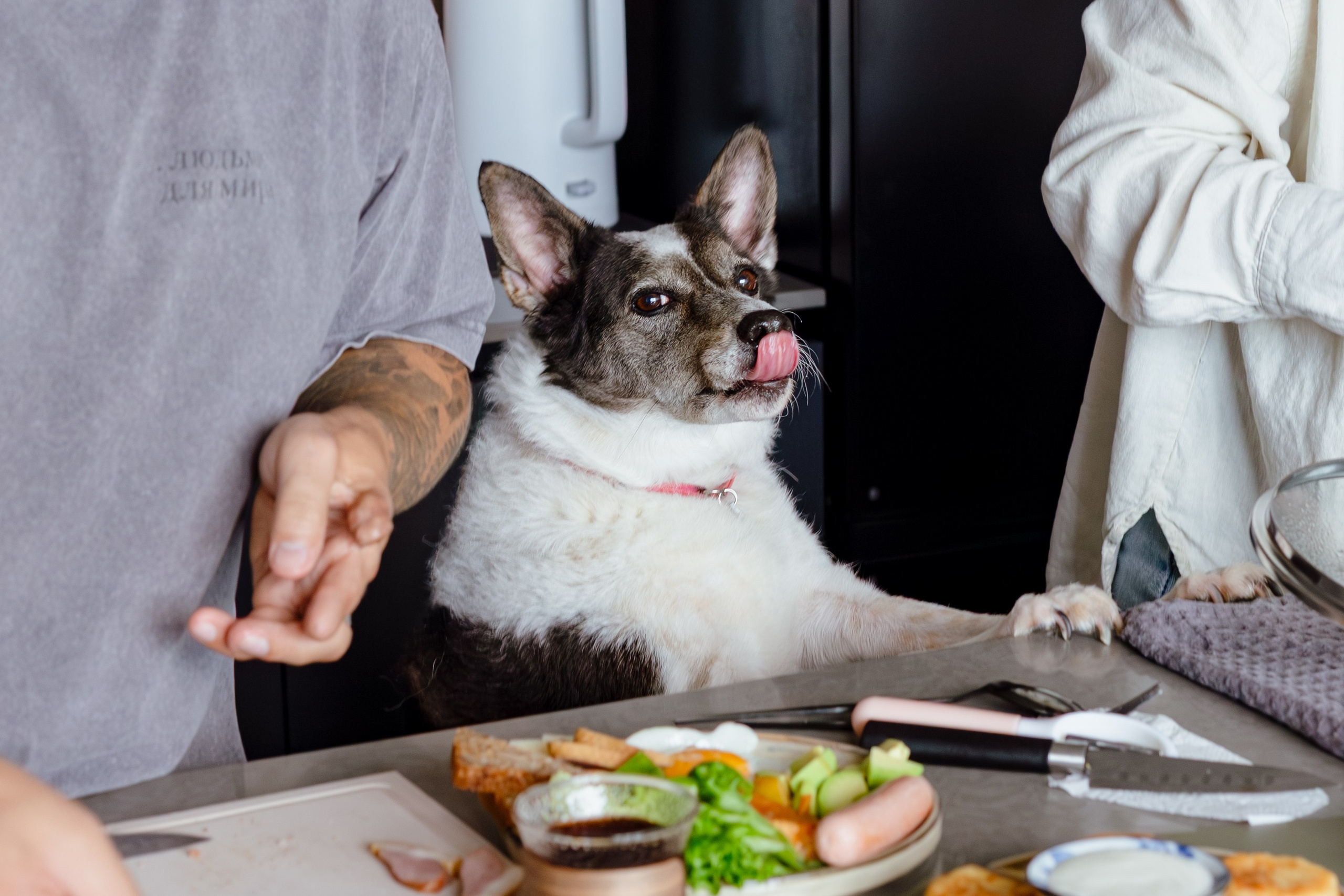 Семейные. Фотограф Ольга Кириллова Владивосток