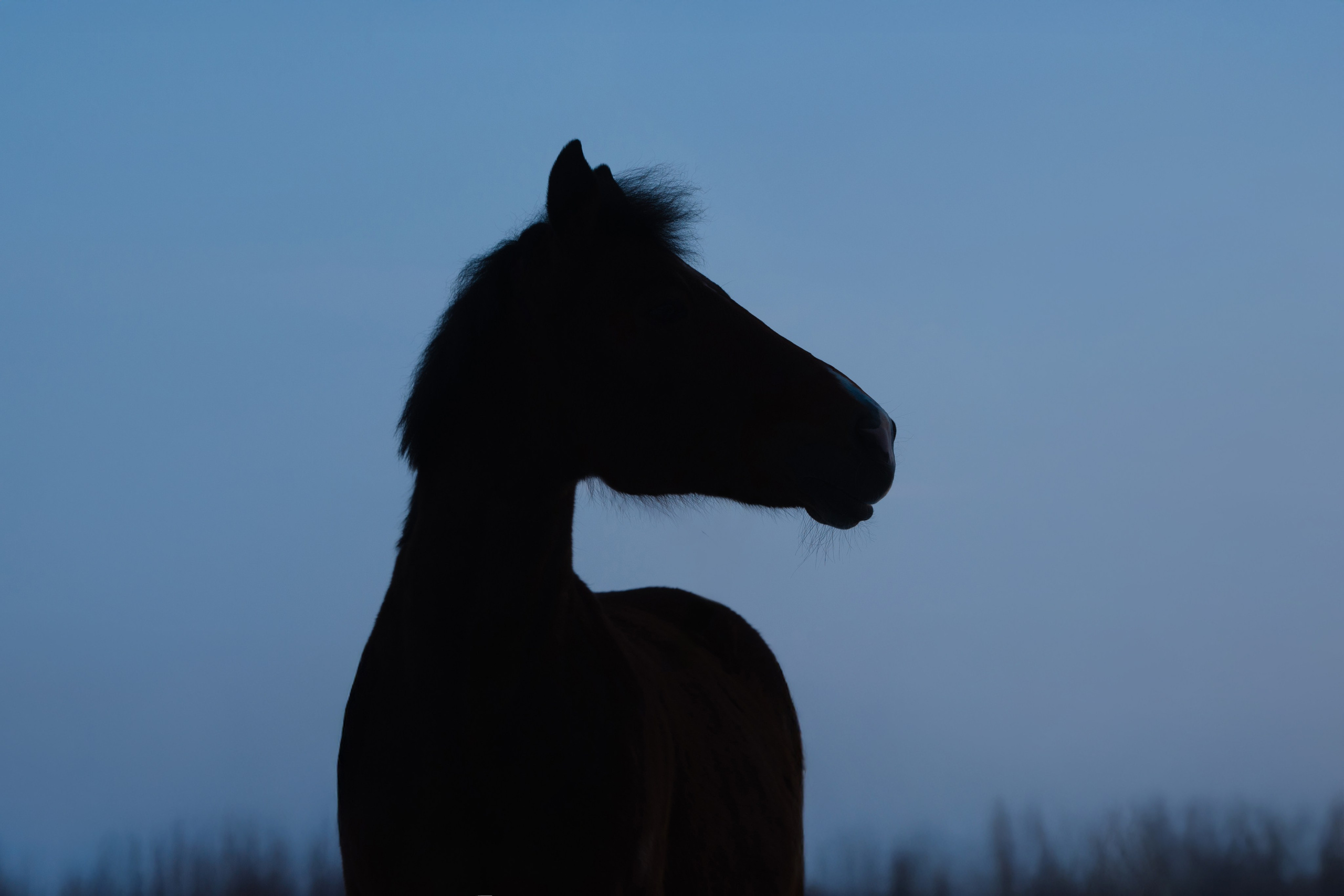 Кантри Клаб. Фотограф Анна Тюрина