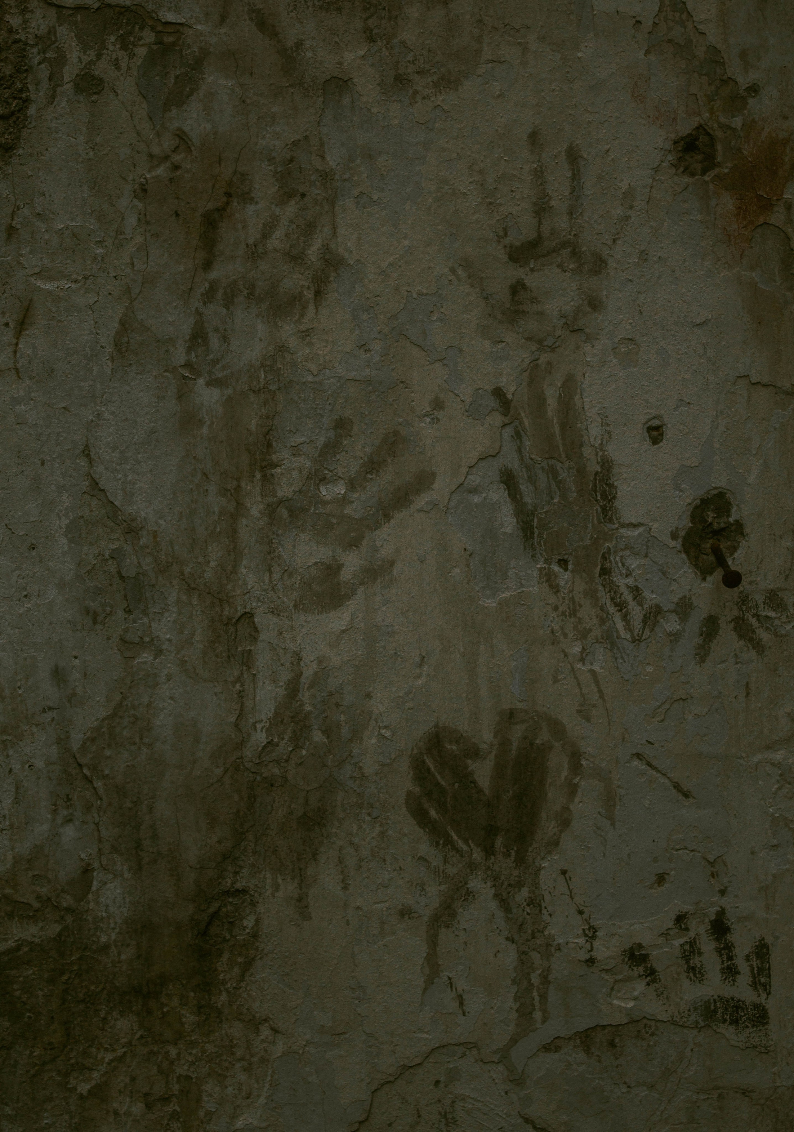 «Без названия»