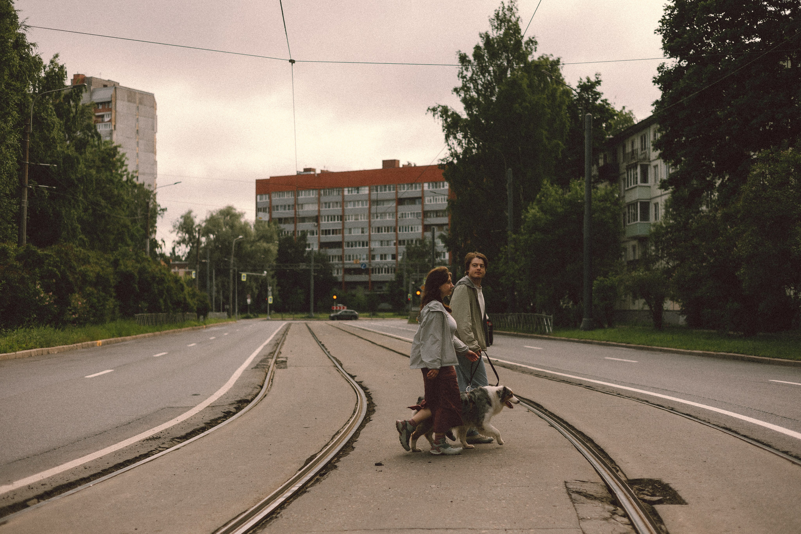 Хлоя, Алёна и Дима. Фотограф анималист Анастасия Пикей
