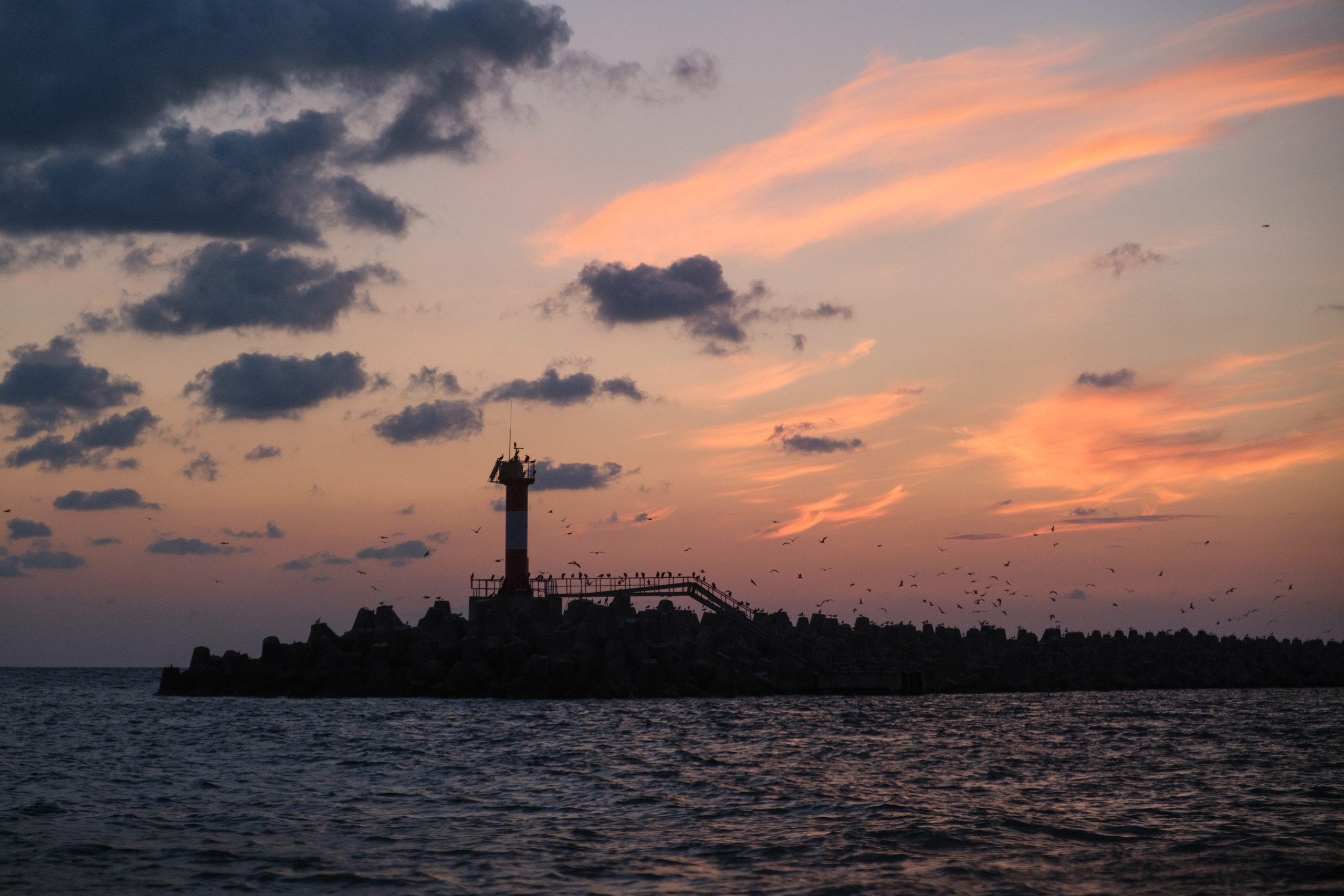 Ариадна. Свадебный Видеограф Фотограф в Сочи