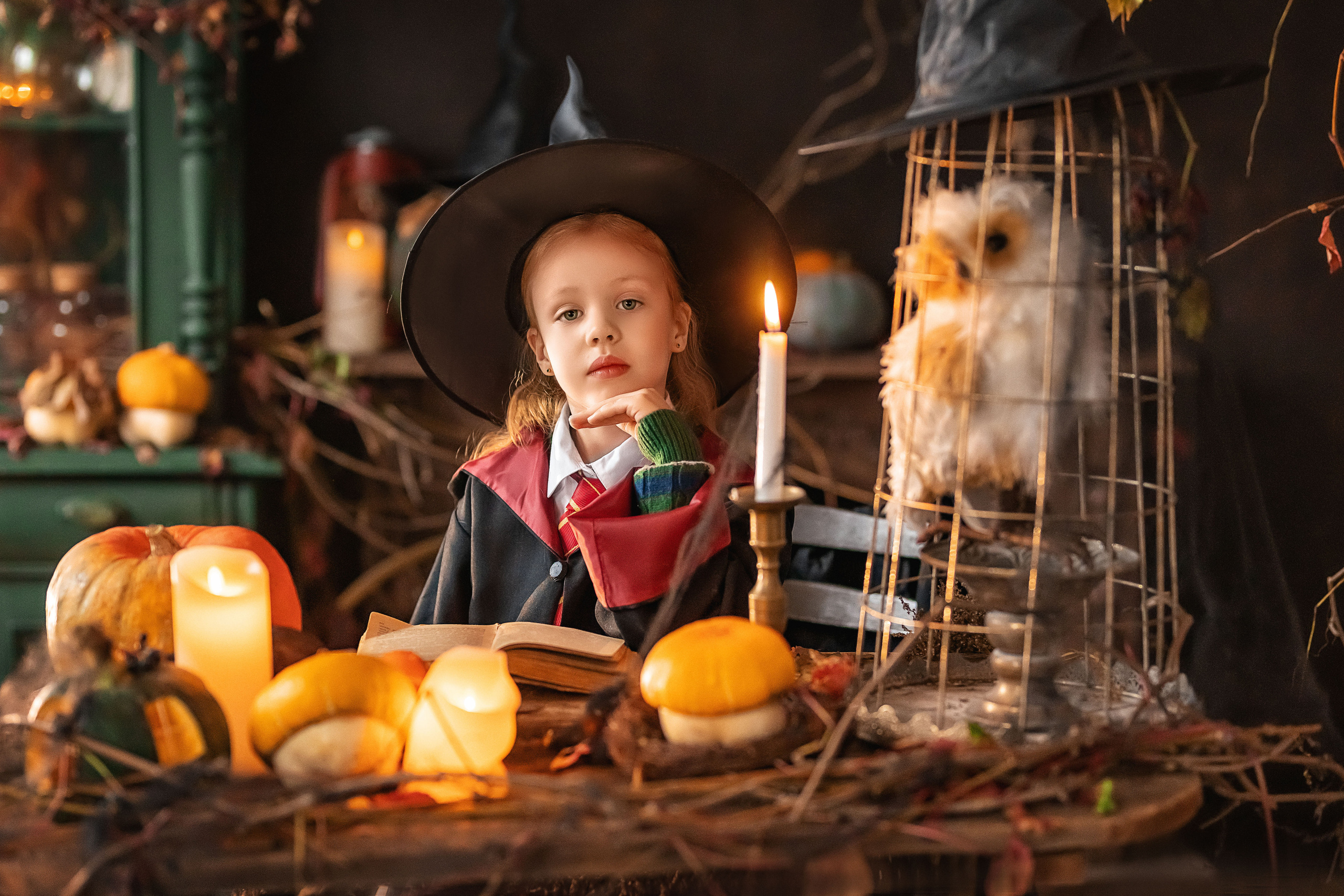 В стиле Гарри Поттера и ведьм (студия Винтаж рум). Елена Чернигина семейный и детский фотограф в Нижнем Новгороде и Бор