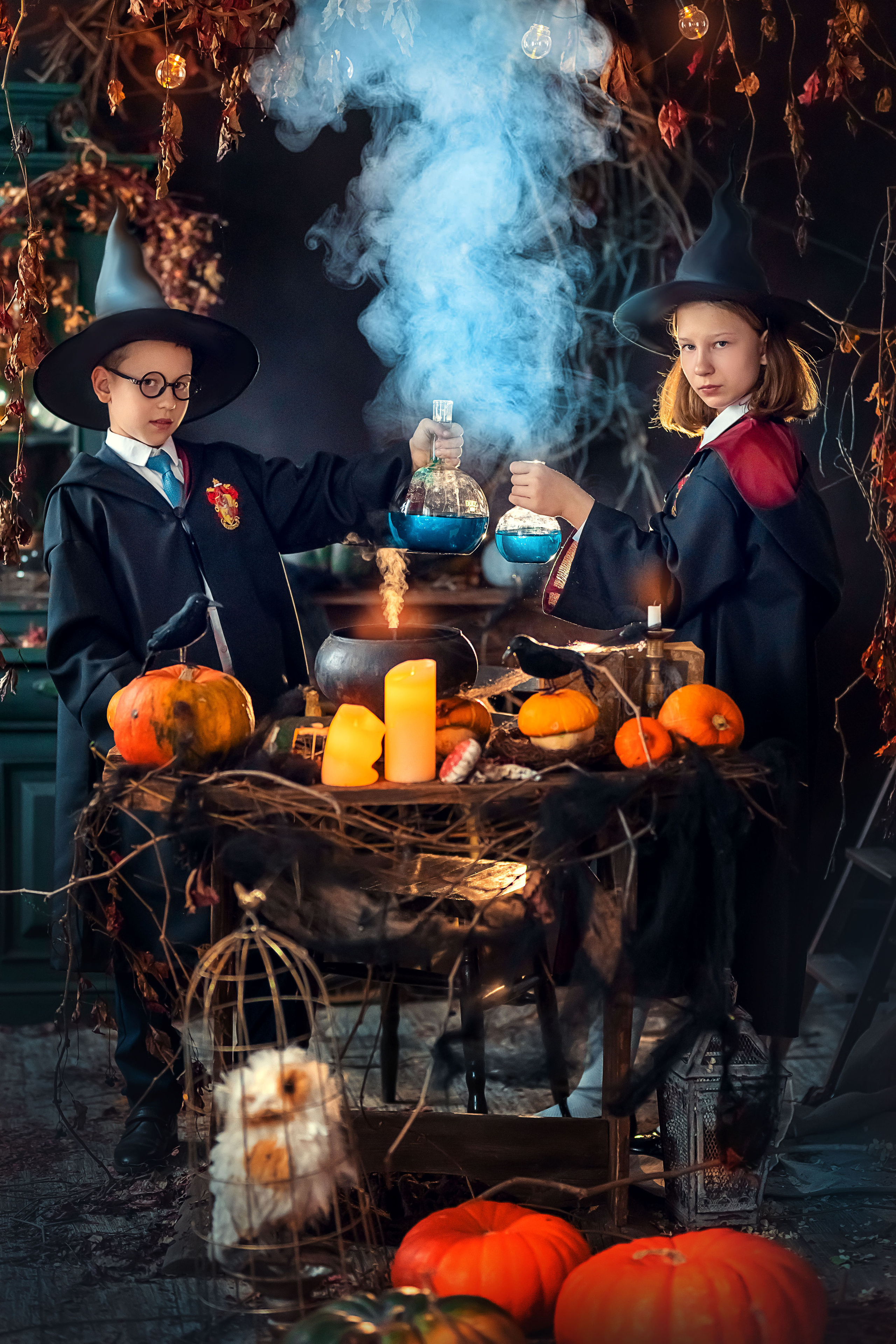 В стиле Гарри Поттера и ведьм (студия Винтаж рум). Елена Чернигина семейный и детский фотограф в Нижнем Новгороде и Бор