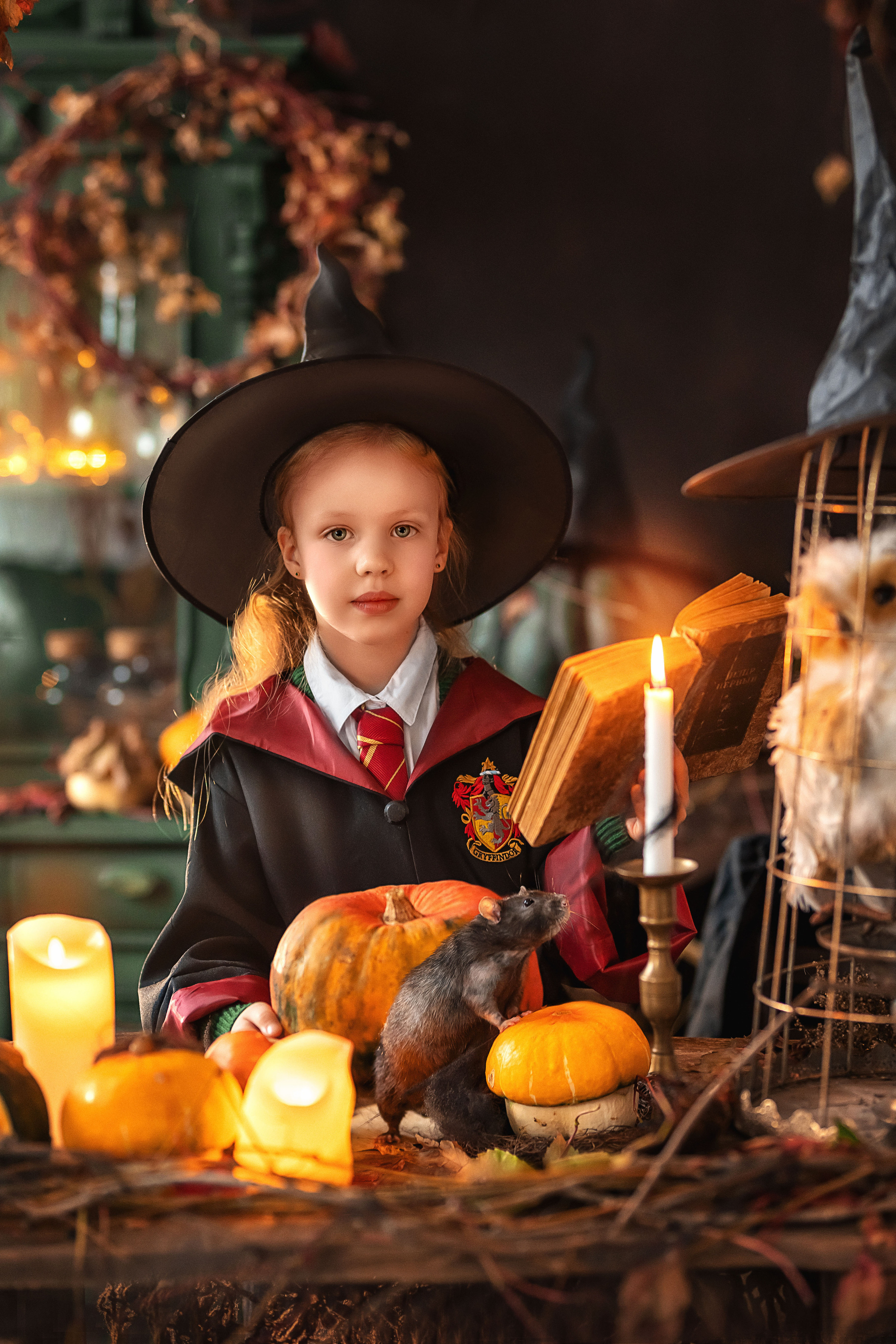 В стиле Гарри Поттера и ведьм (студия Винтаж рум). Елена Чернигина семейный и детский фотограф в Нижнем Новгороде и Бор