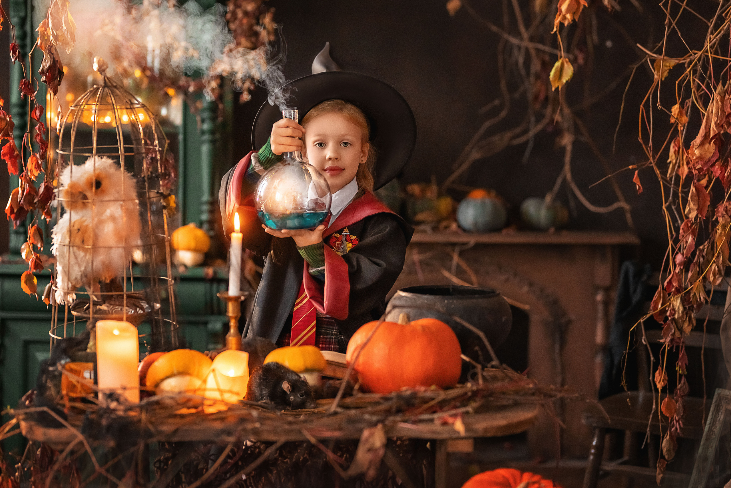 В стиле Гарри Поттера и ведьм (студия Винтаж рум). Елена Чернигина семейный и детский фотограф в Нижнем Новгороде и Бор