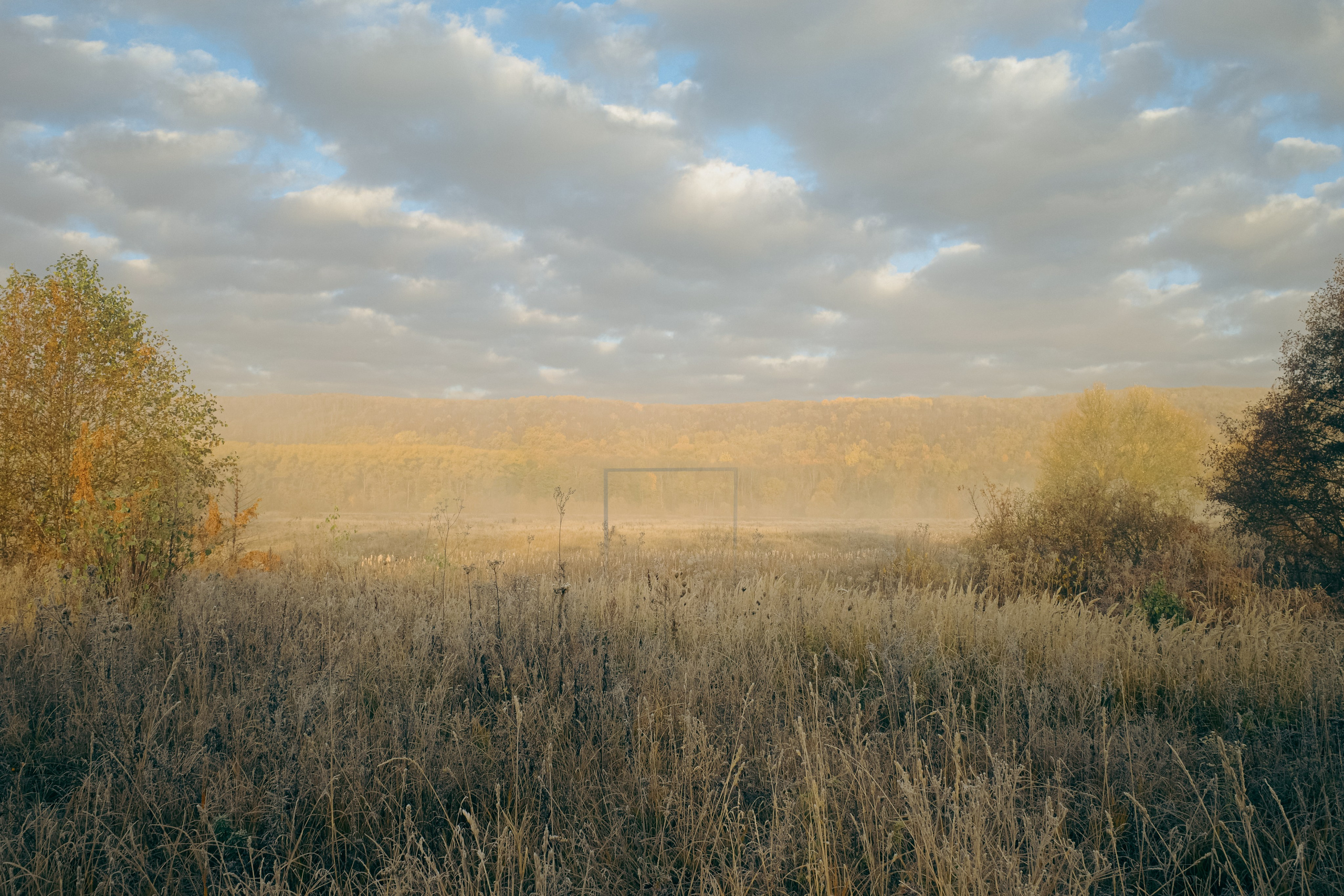 О границах реального. Междисциплинарный художник Екатерина Старовойтова