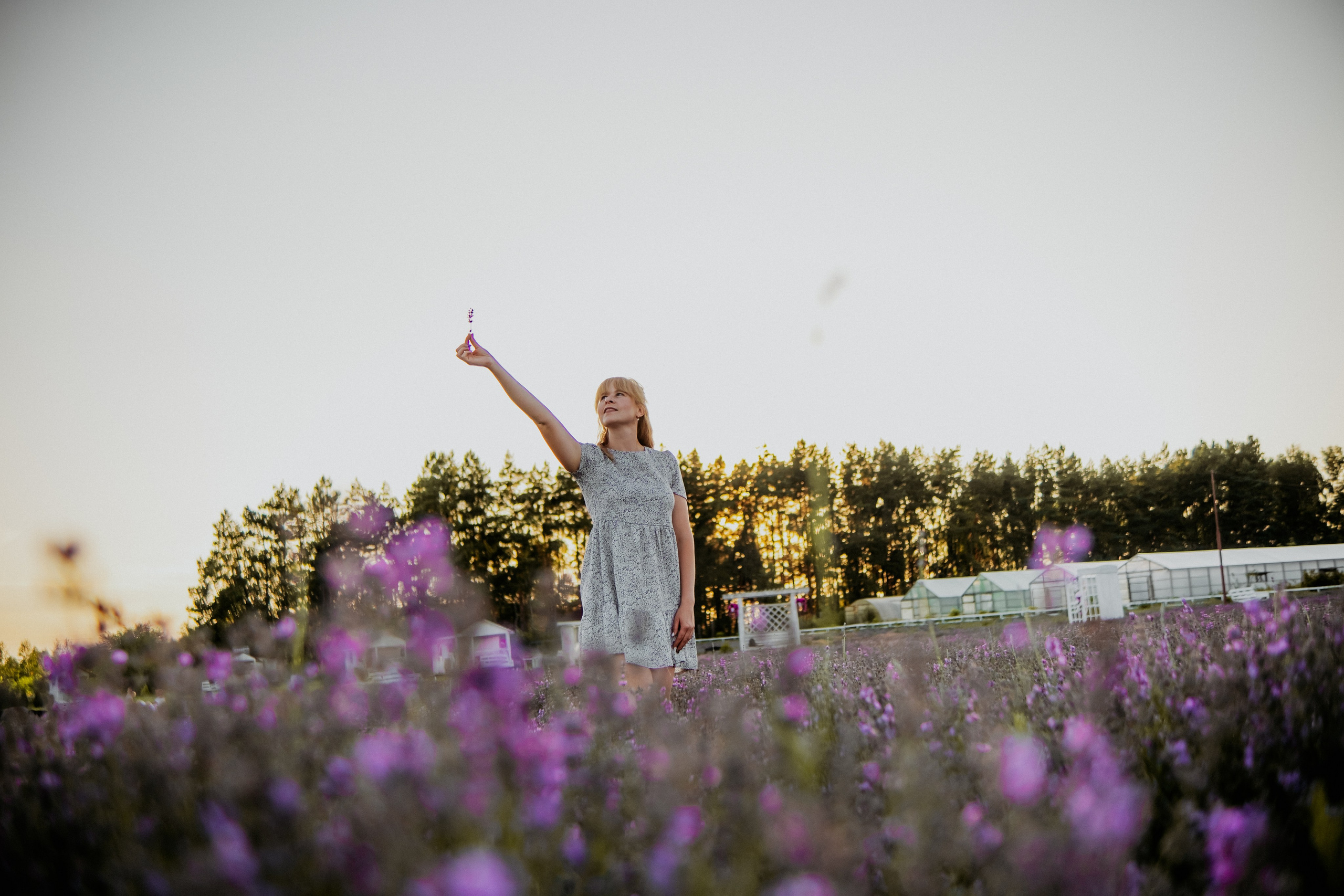 Семейная съемка в лованде. Nattie.ph