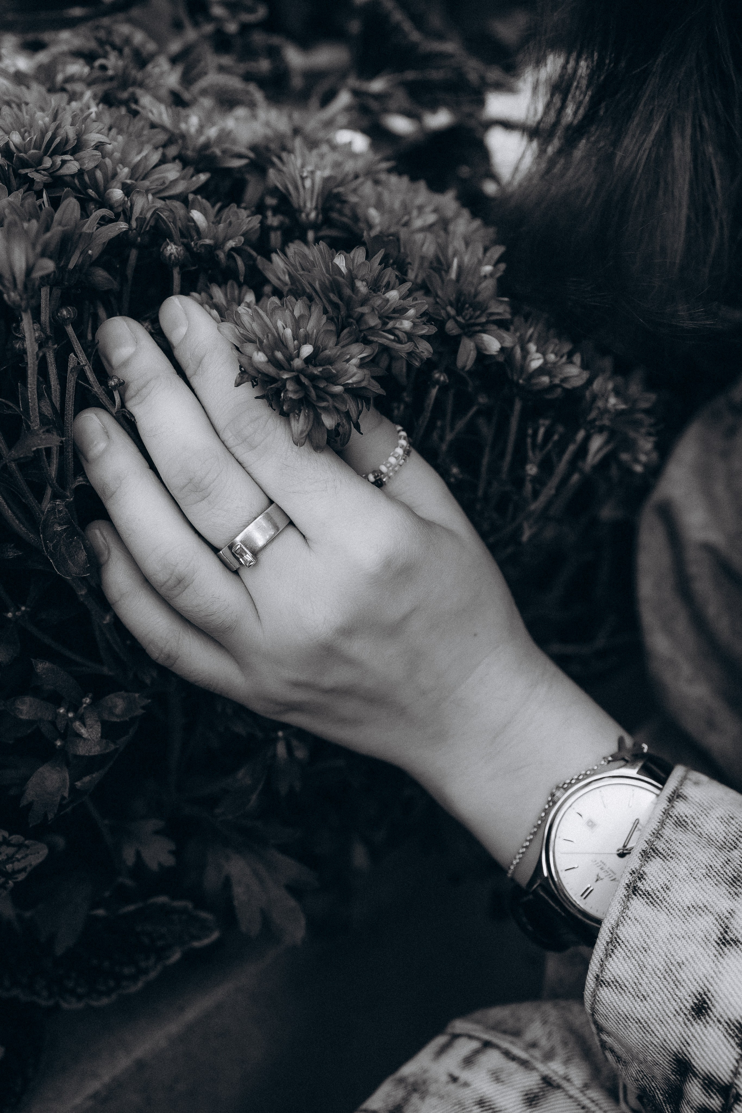 Аня. Семейный фотограф в Москве Алла Суворова