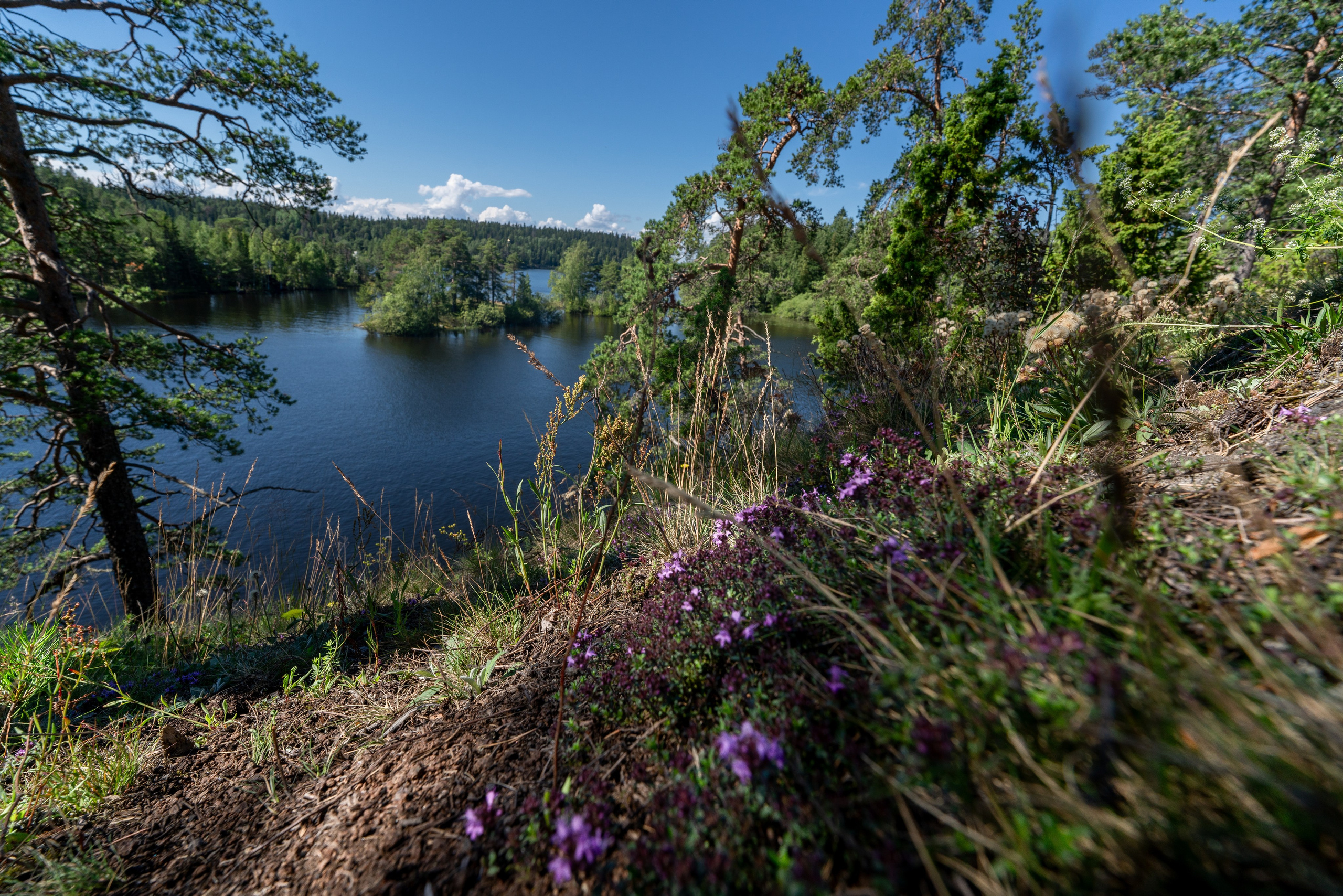 Карелия. ПОБУДЬ ЗДЕСЬ И ЦЕЛЕЕ БУДЕТ ЭТОТ МИР