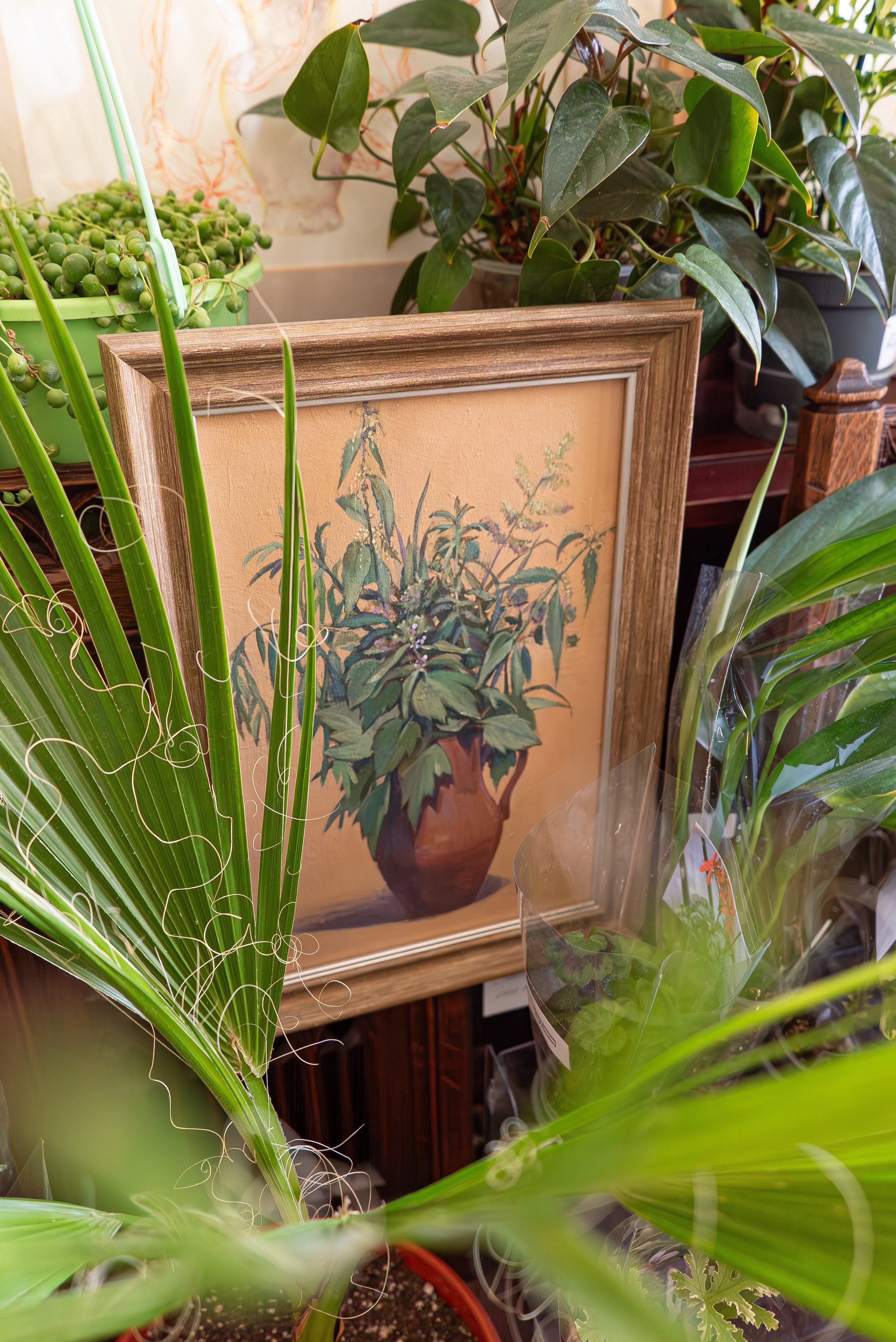 Усадьба. Александра Куликова фотограф, Москва