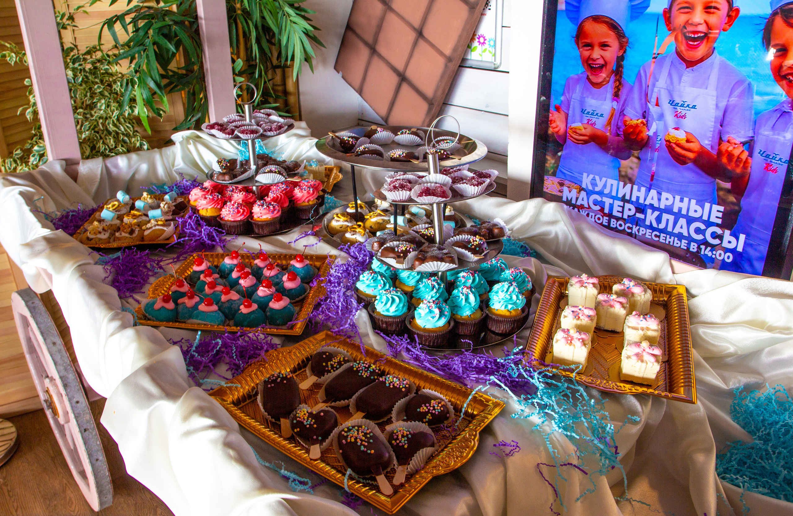 Открытие детского ресторана Чайка Kids в Ялте. Репортажный фотограф Ялта