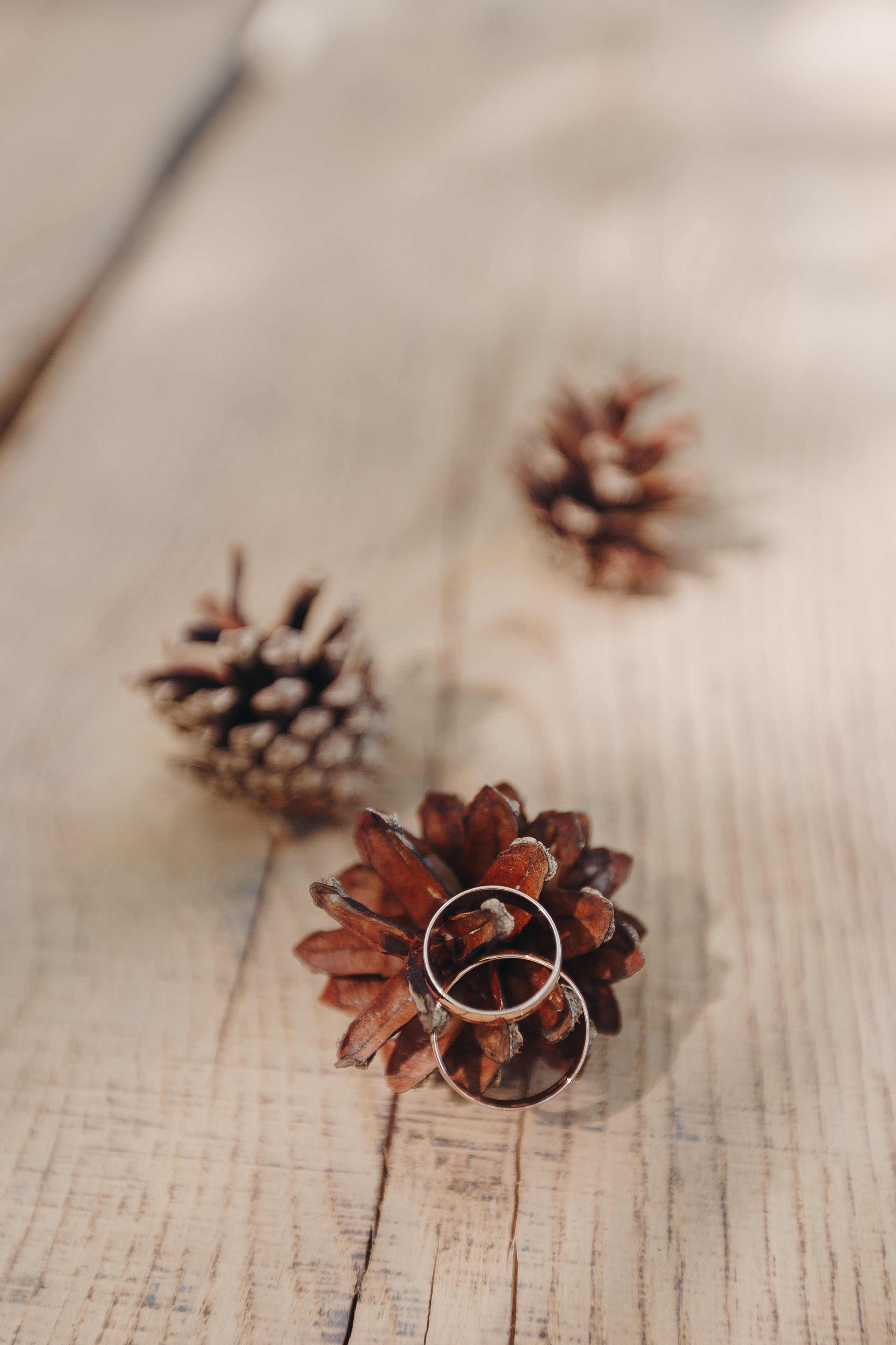 Свадебная Фото и Видео съёмка в Буда-Кошелева, на усадьбе Озерная. Свадебный семейный фотограф и видеограф Гомель Минск Беларусь Европа