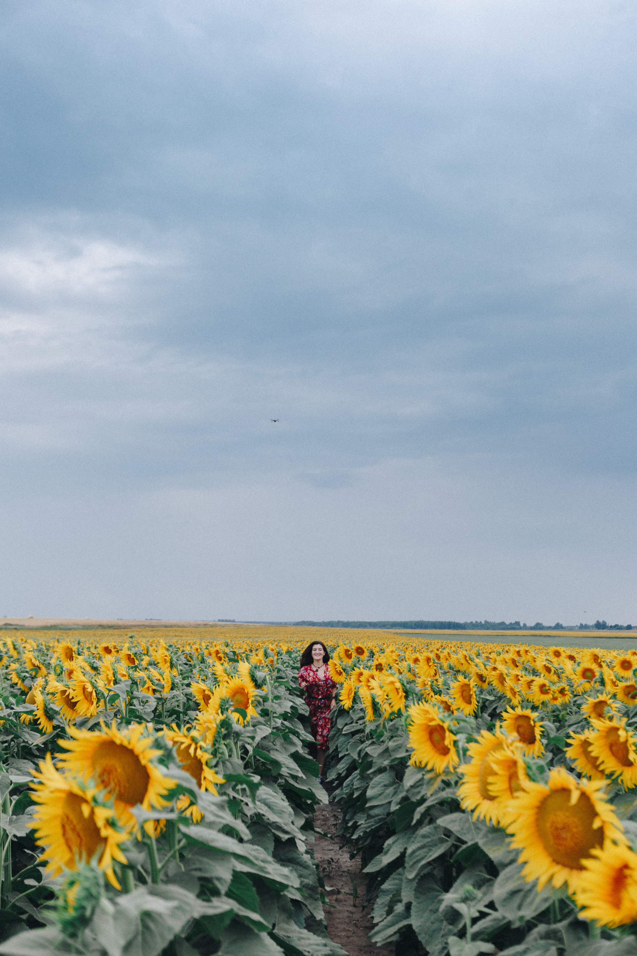 Подсолнухи. Свадебный семейный фотограф и видеограф Гомель Минск Беларусь Европа