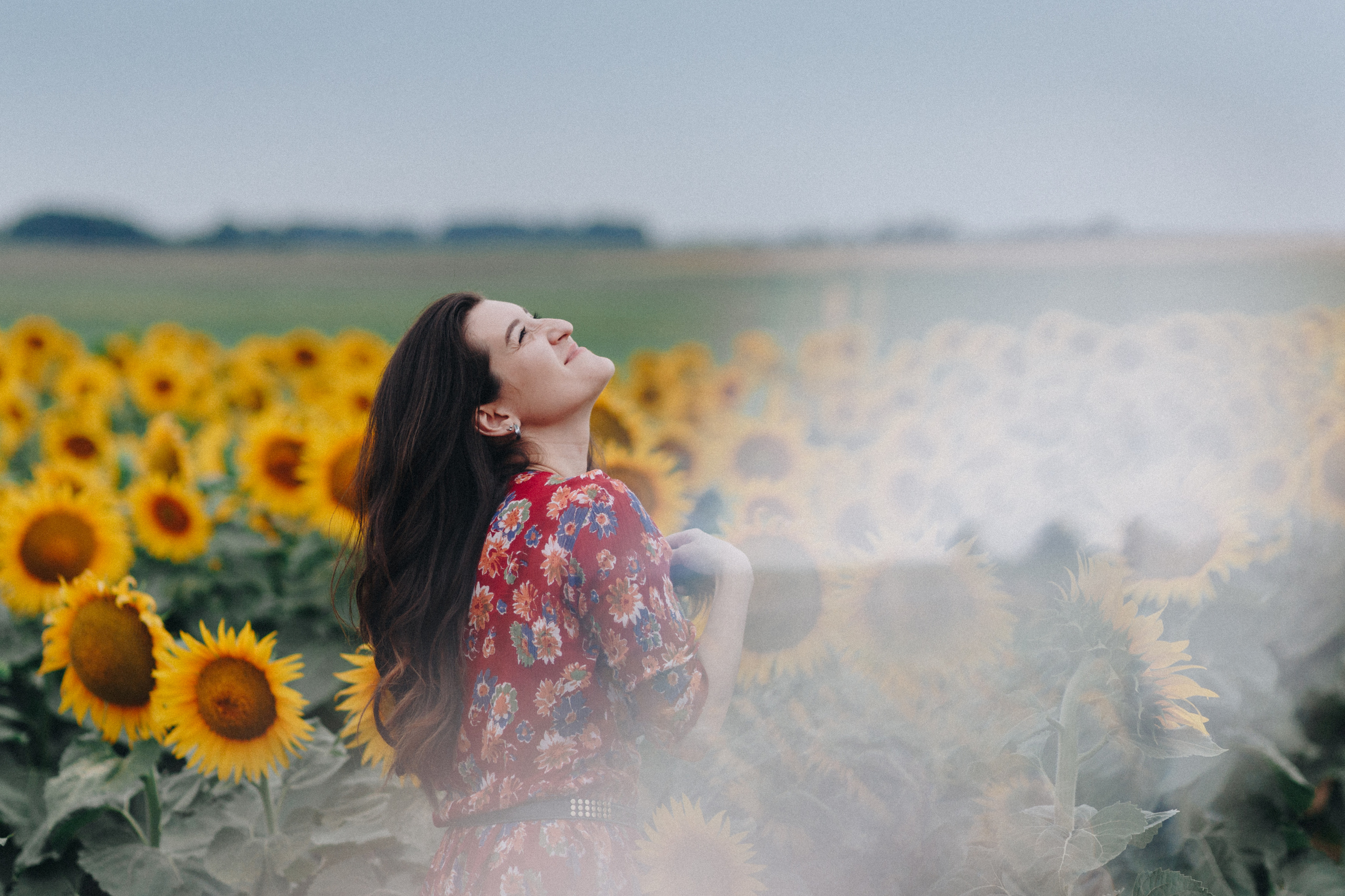 Подсолнухи. Свадебный семейный фотограф и видеограф Гомель Минск Беларусь Европа