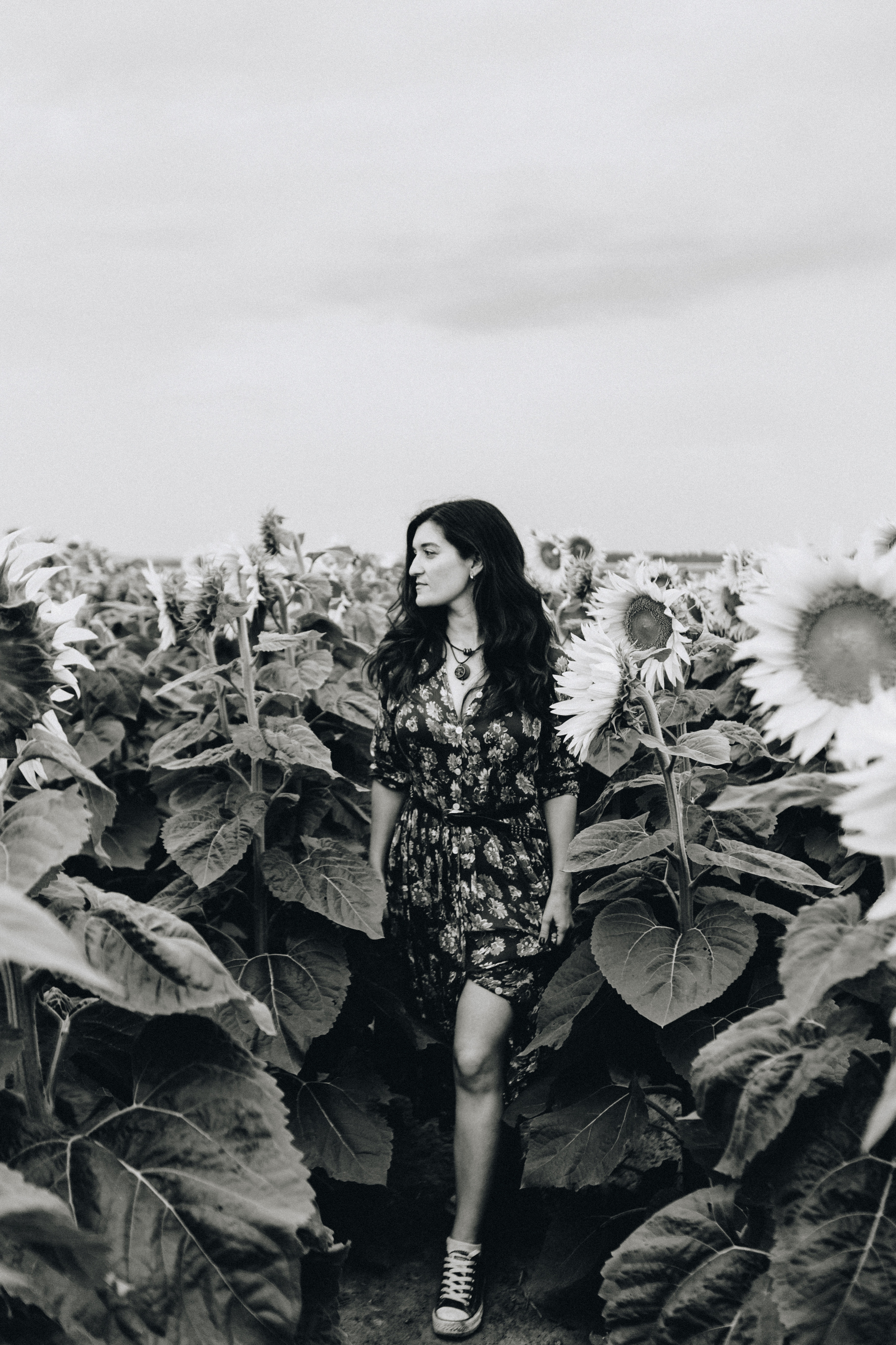 Подсолнухи. Свадебный семейный фотограф и видеограф Гомель Минск Беларусь Европа