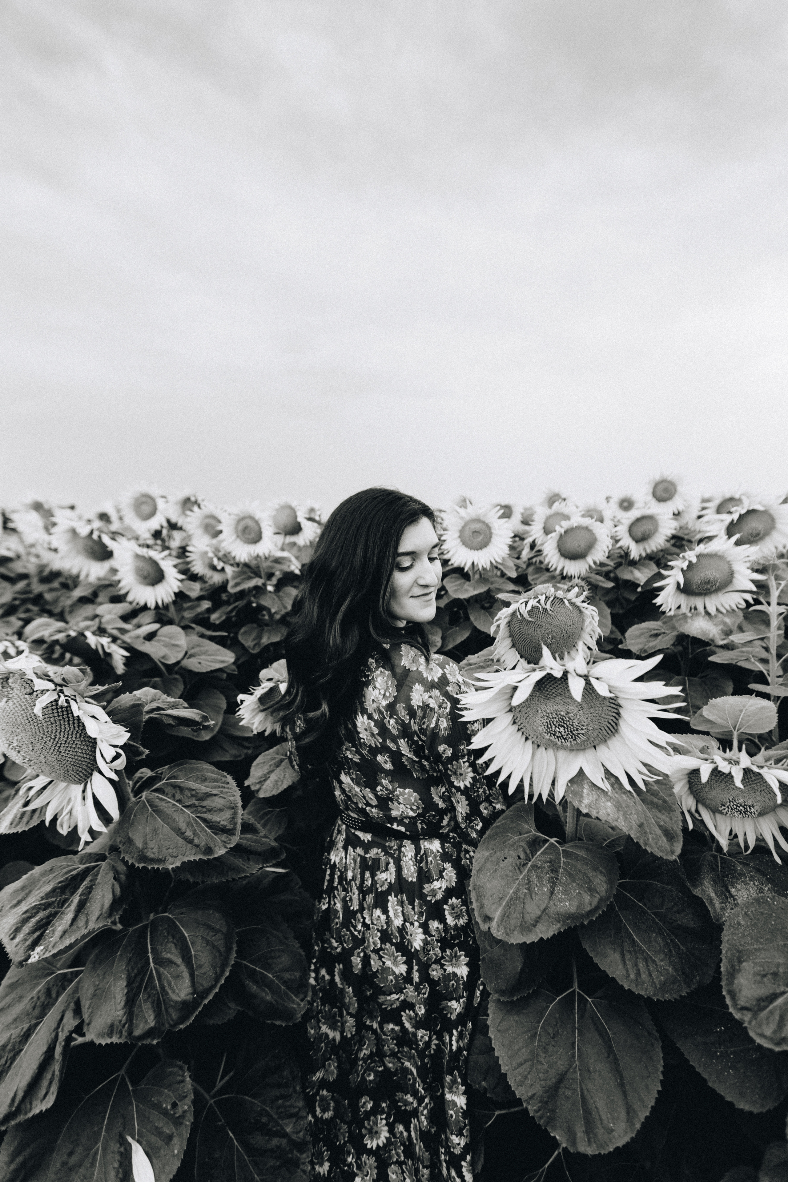 Подсолнухи. Свадебный семейный фотограф и видеограф Гомель Минск Беларусь Европа