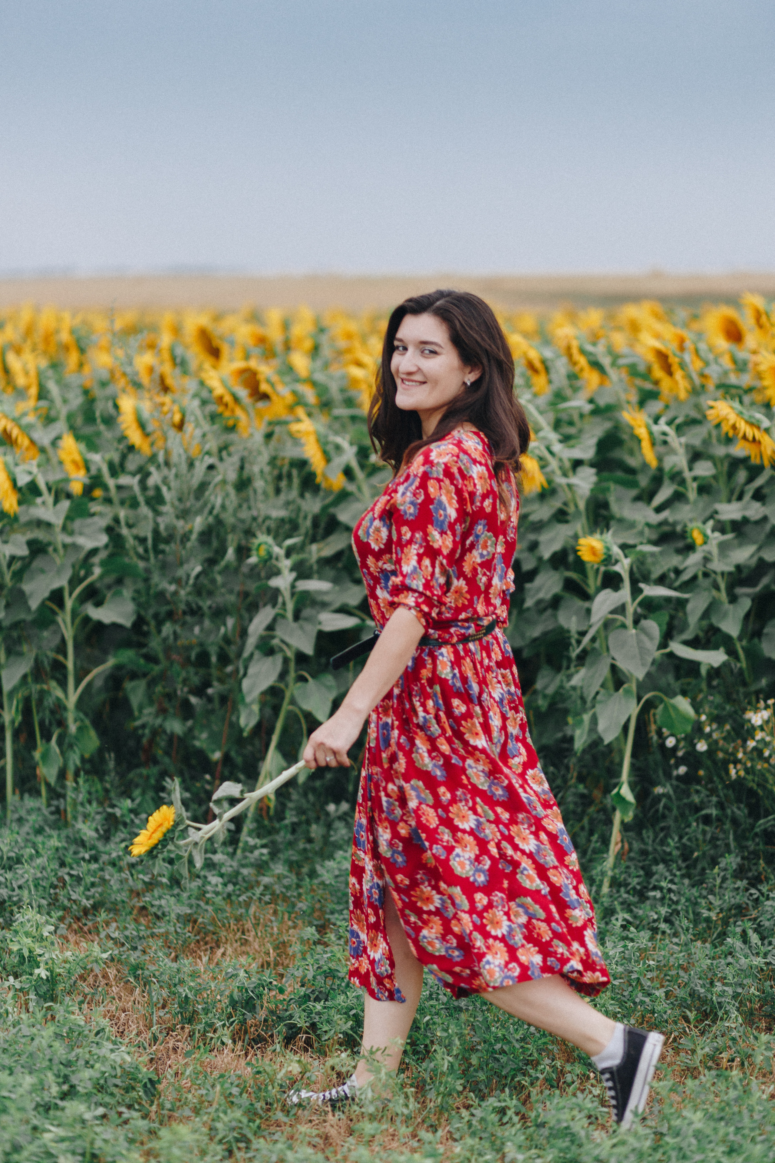 Подсолнухи. Свадебный семейный фотограф и видеограф Гомель Минск Беларусь Европа