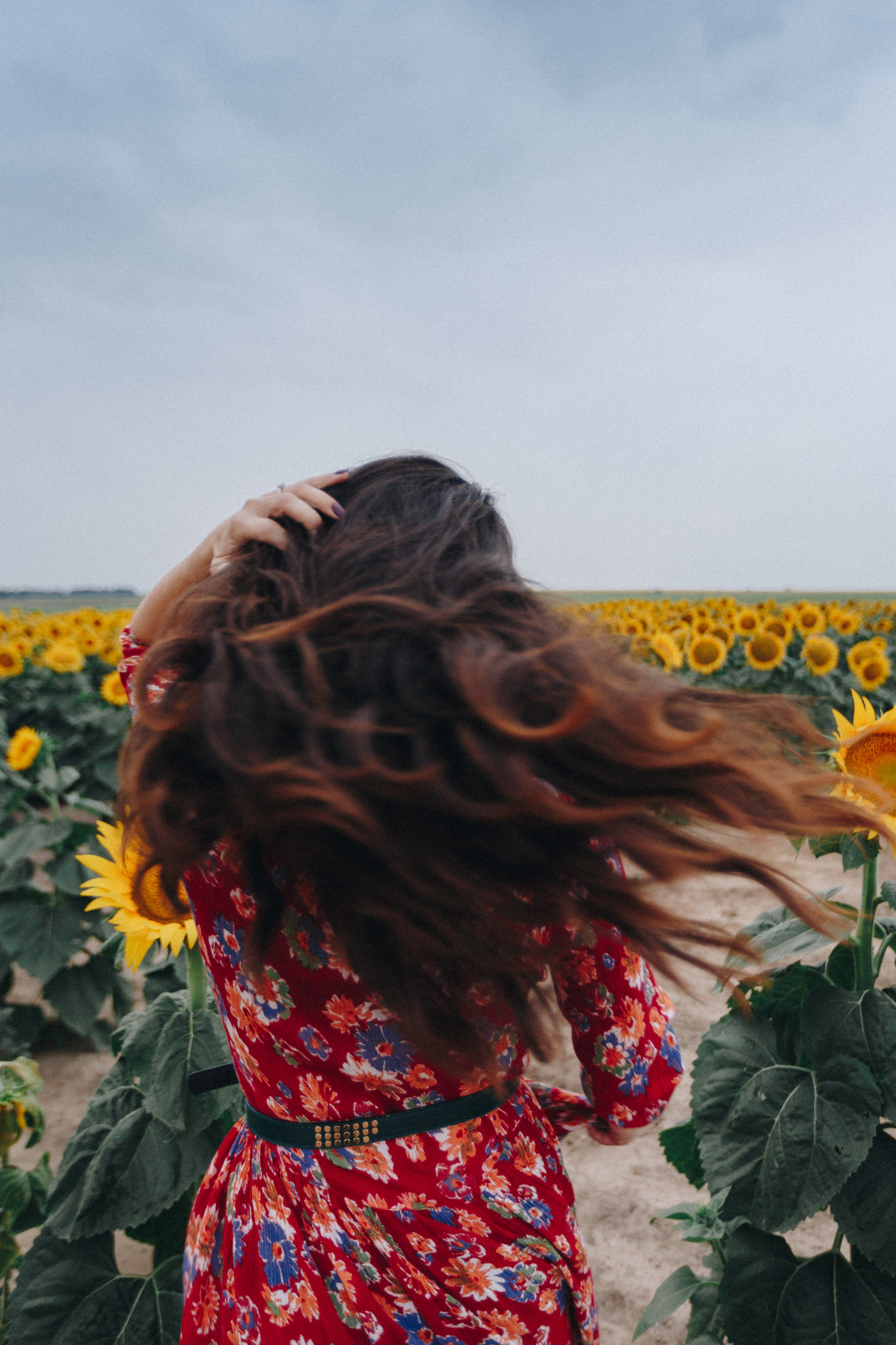 Подсолнухи. Свадебный семейный фотограф и видеограф Гомель Минск Беларусь Европа