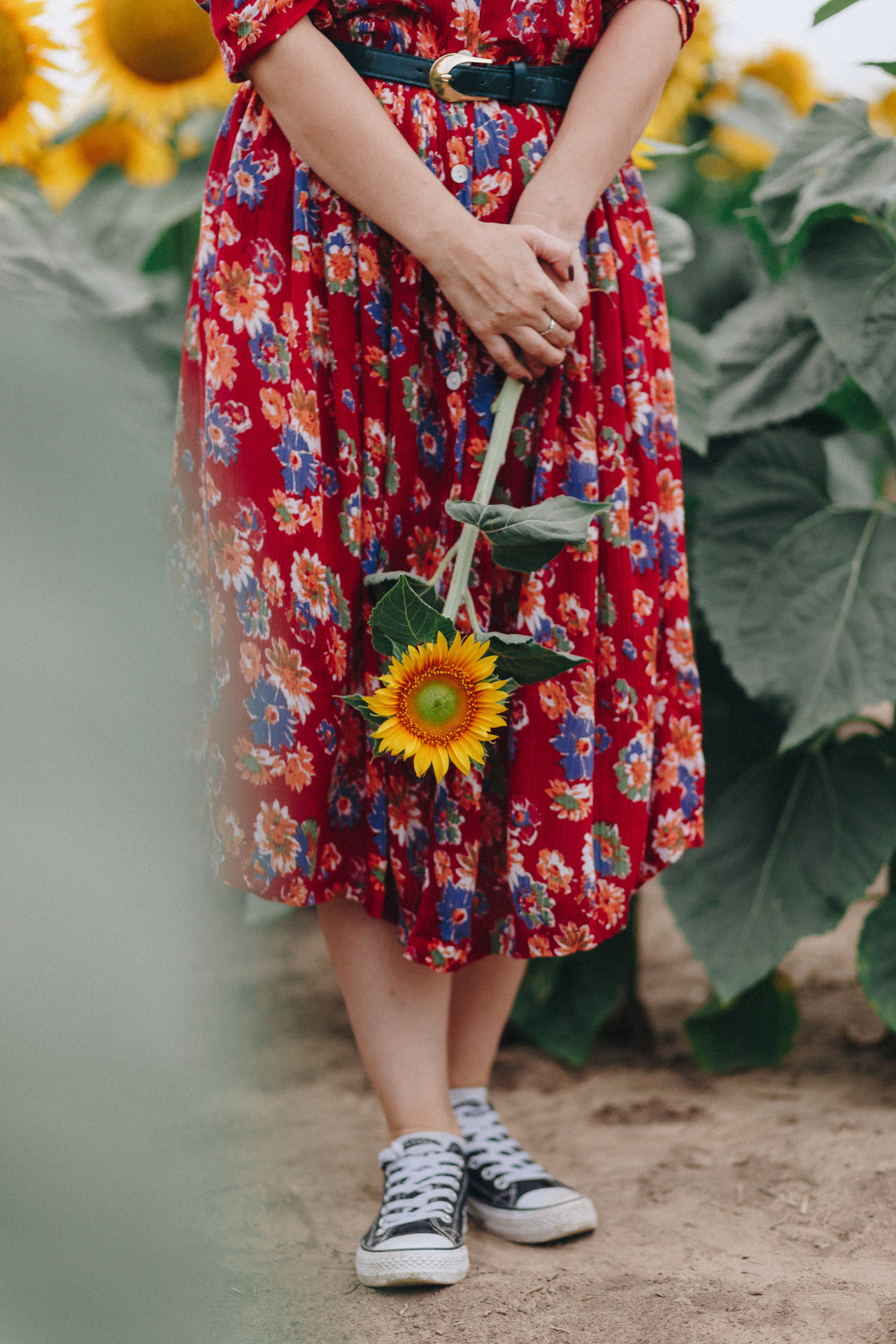 Подсолнухи. Свадебный семейный фотограф и видеограф Гомель Минск Беларусь Европа