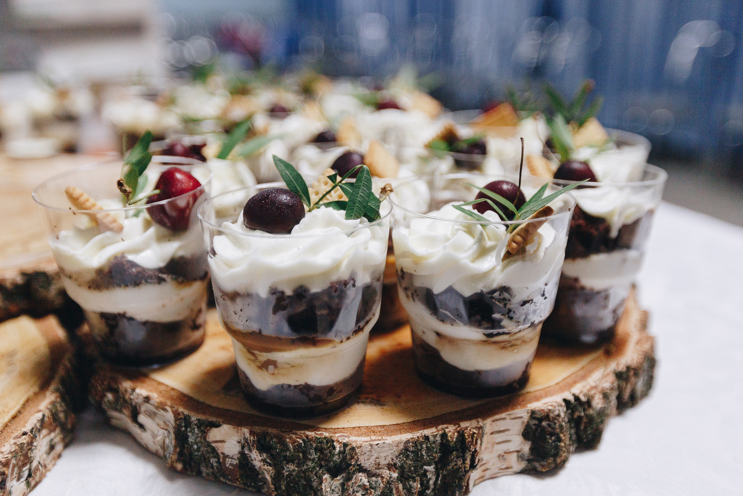 Свадебная Фото и Видео съёмка в Буда-Кошелева, на усадьбе Озерная. Свадебный семейный фотограф и видеограф Гомель Минск Беларусь Европа