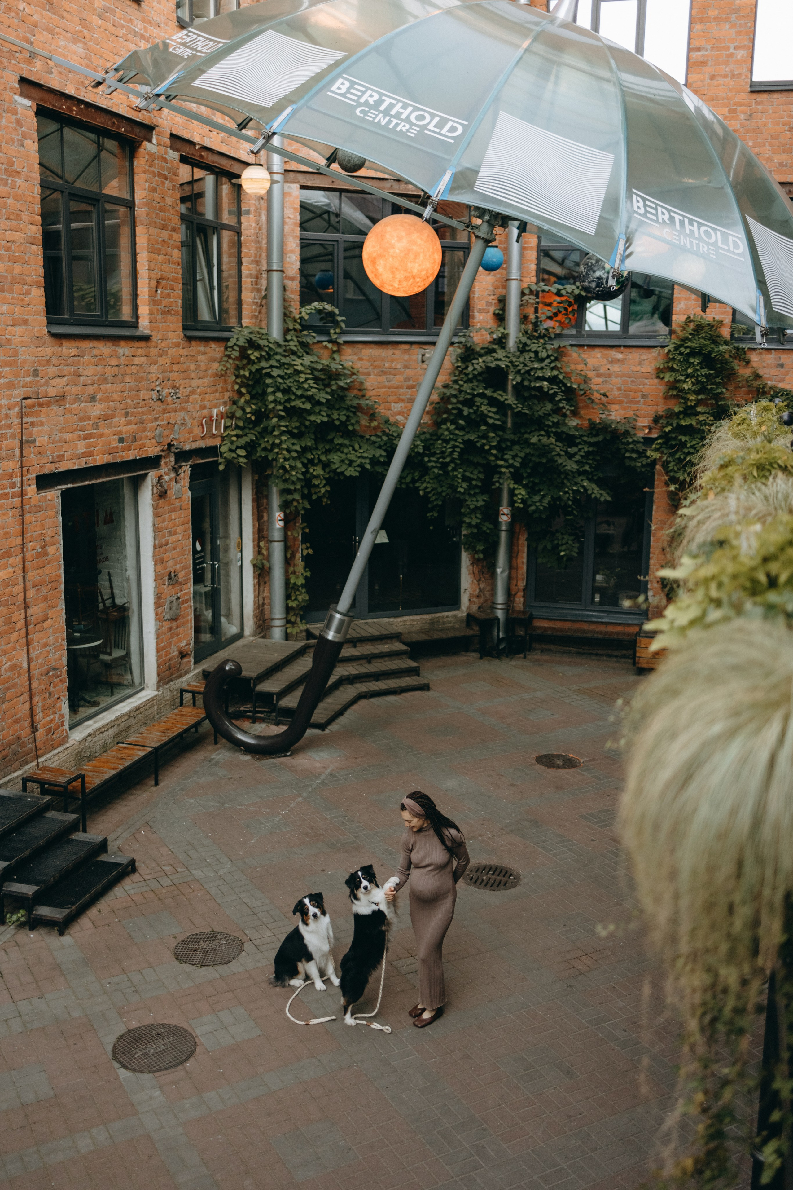 Катя и ее девочки. Фотограф — Анималист | Санкт-Петербург