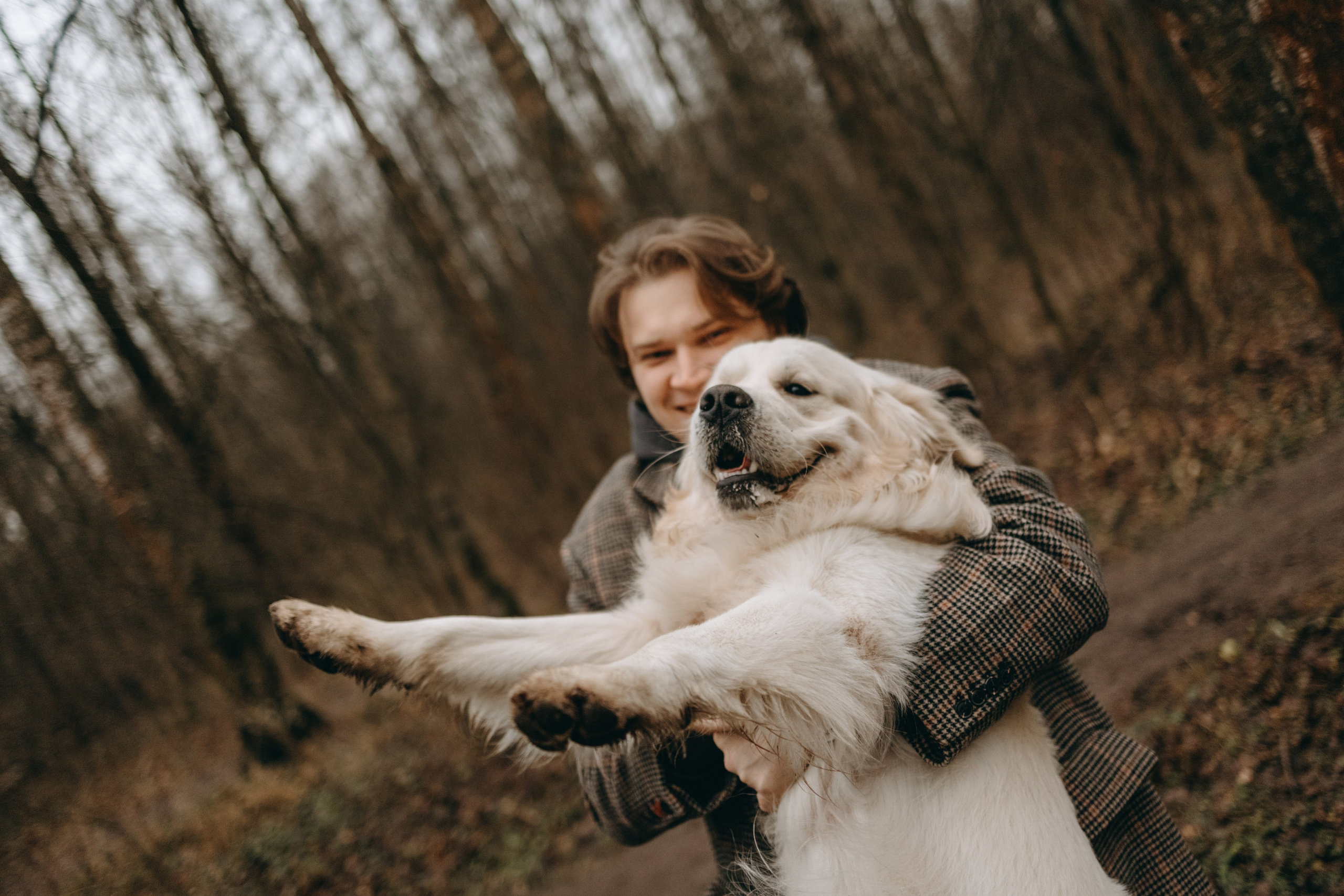 Лаки и его семья. Фотограф — Анималист | Санкт-Петербург