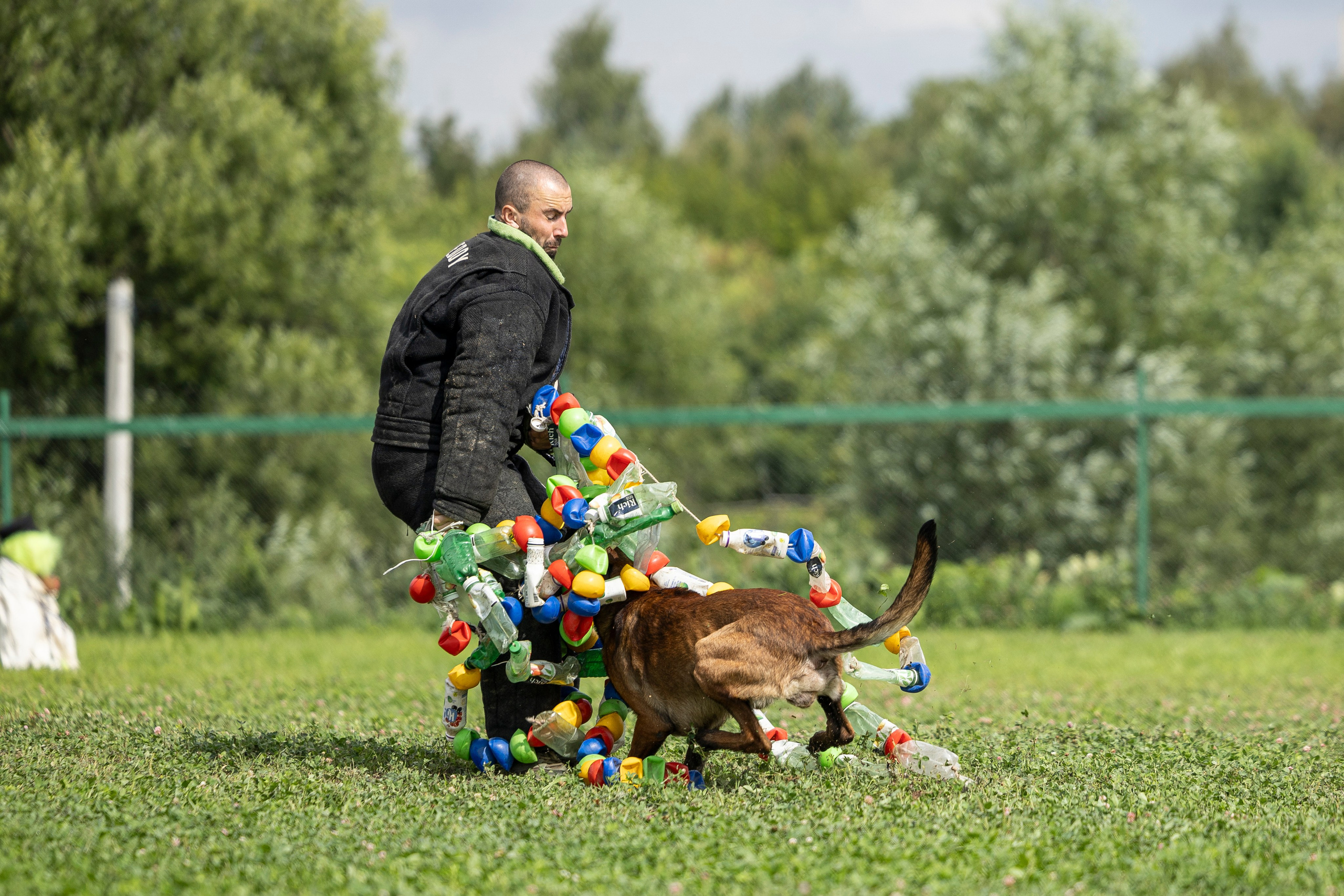 Соревнования по Мондьорингу г. Вологда 10-11.08.2024. Фотограф-анималист Анна Маринич