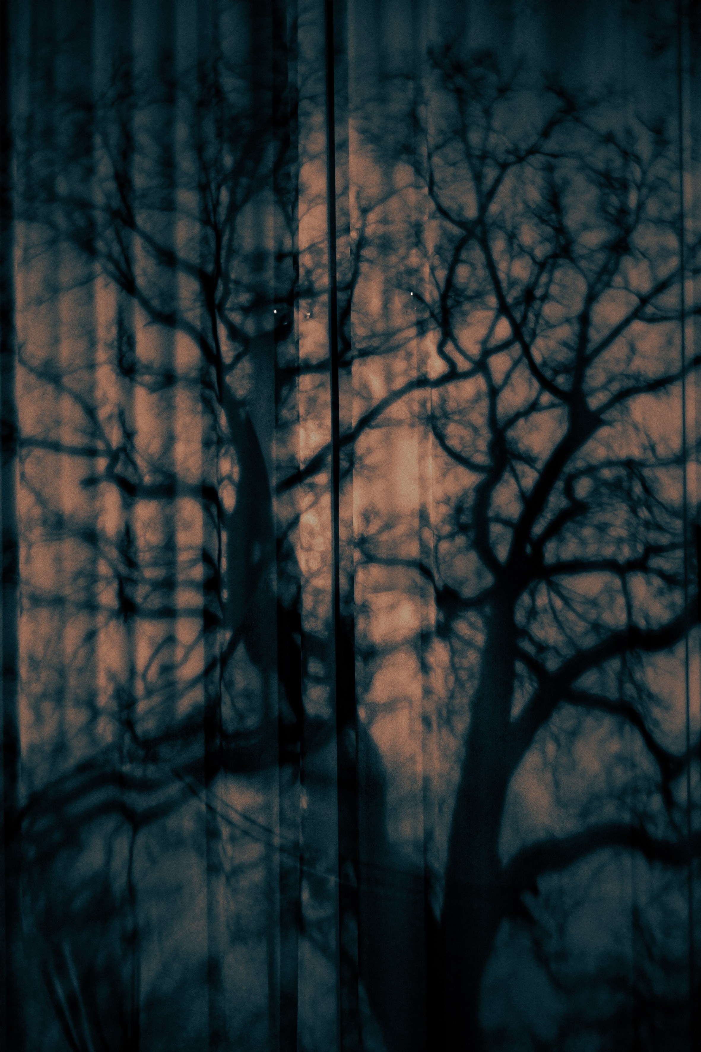 Выставка 24-25.01.2026 г. Дюссельдорф Германия «Встреча». Спортивный фотограф в Москве Фадеева Ирина. Соревнования, турниры, чемпионаты по танцам. отчетные концерты, съемка под водой