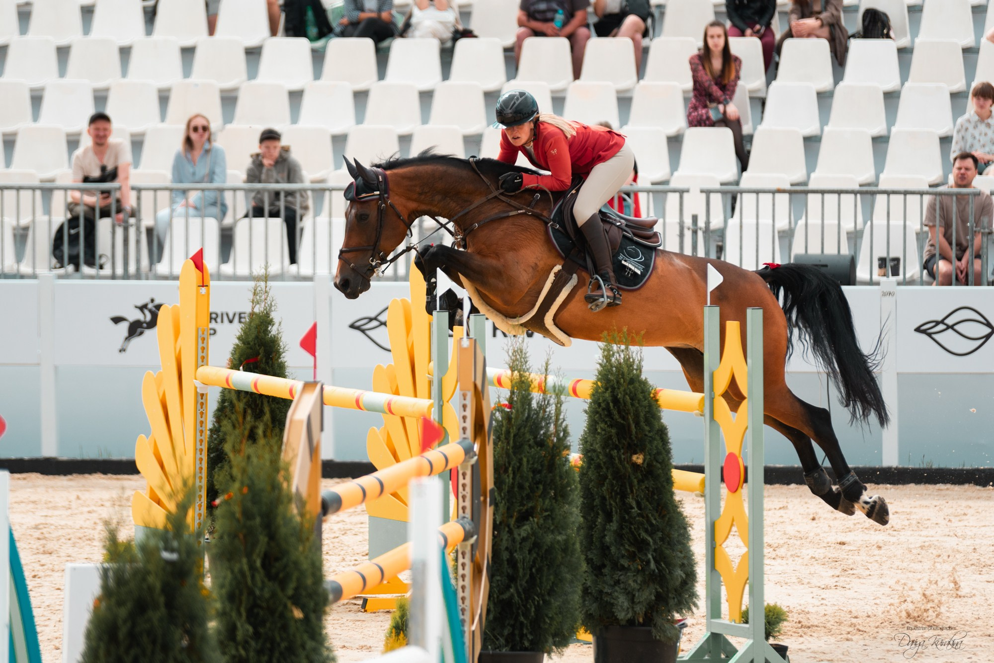 BITRIVER CUP 2023. Конный фотограф Куракина Дарья • Фотосессии с лошадьми