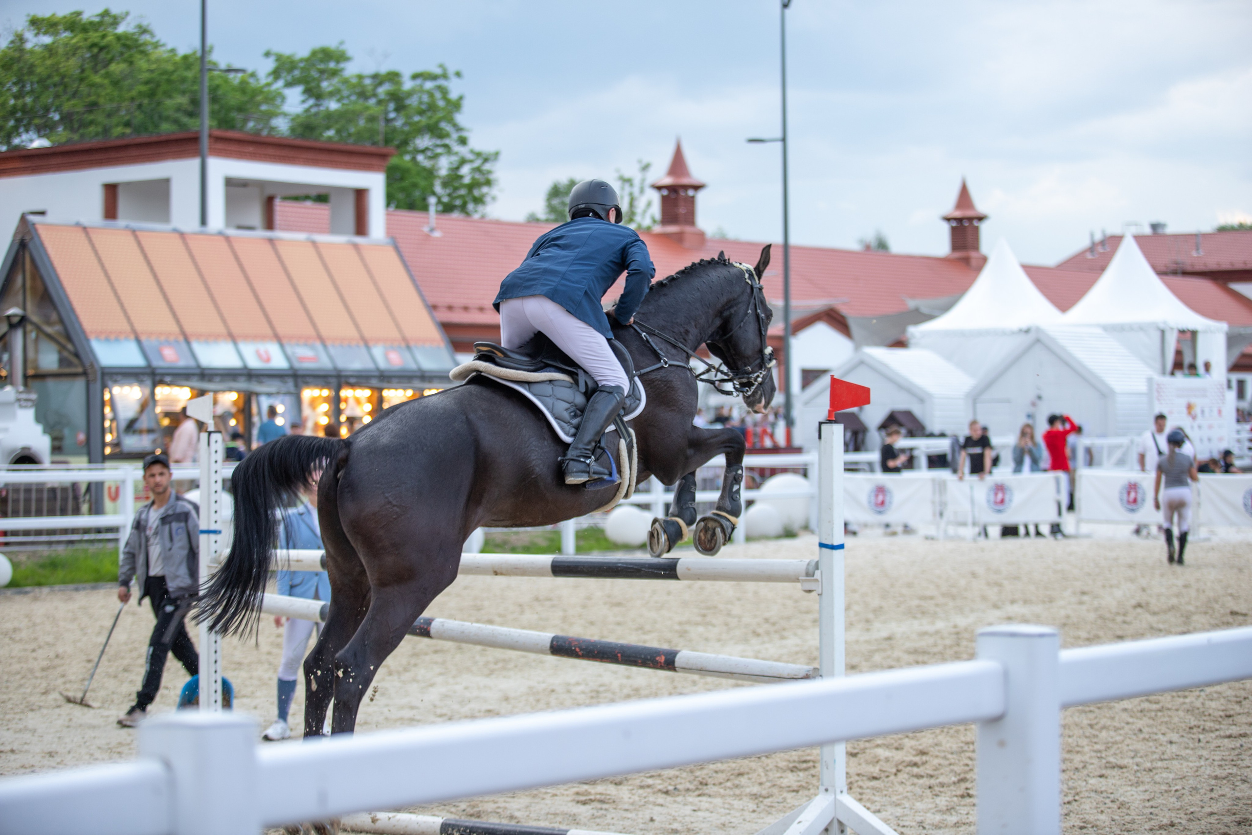 Соревнования. Фотосессии с лошадьми в Москве и МО