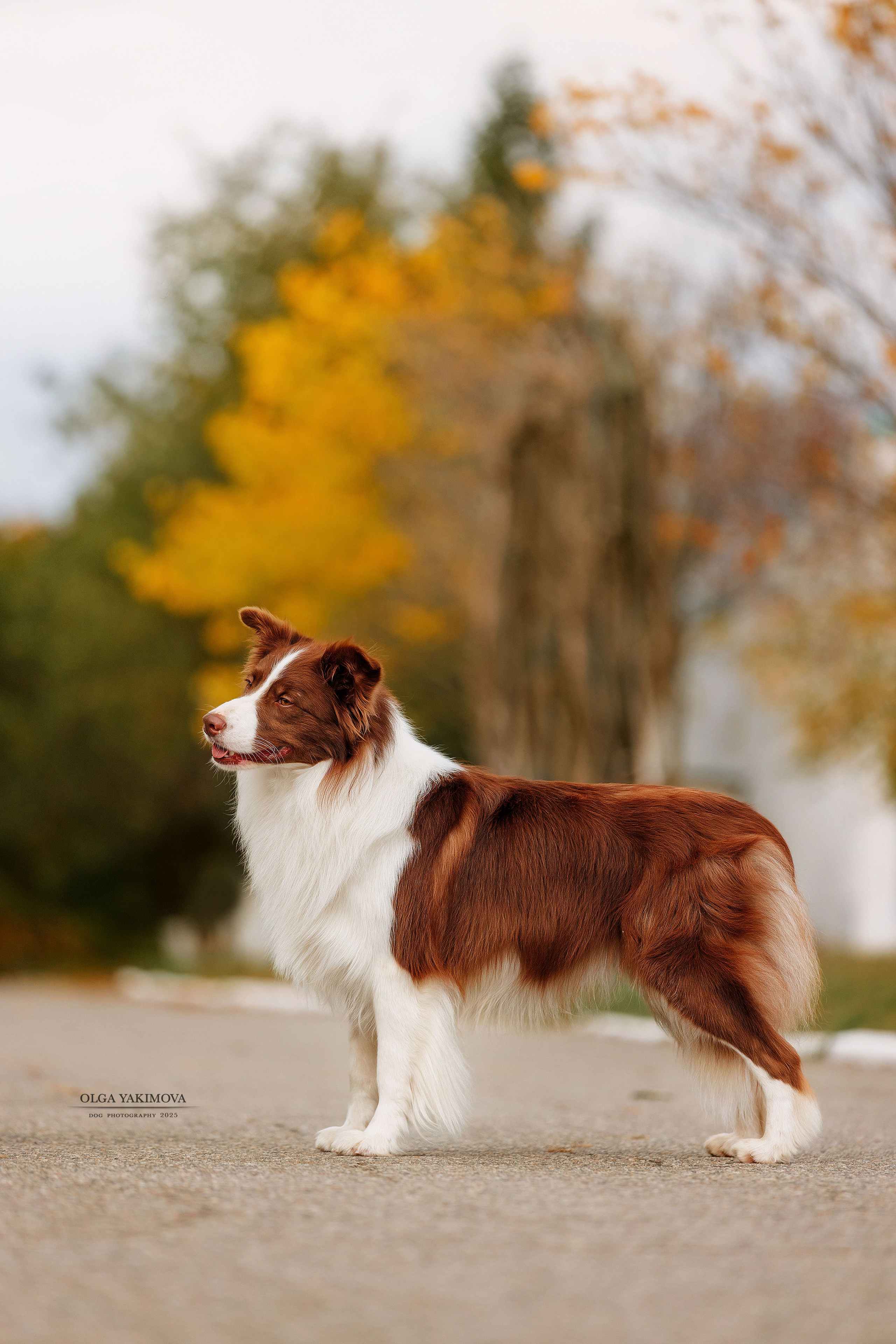 Экстерьер. Фотограф
