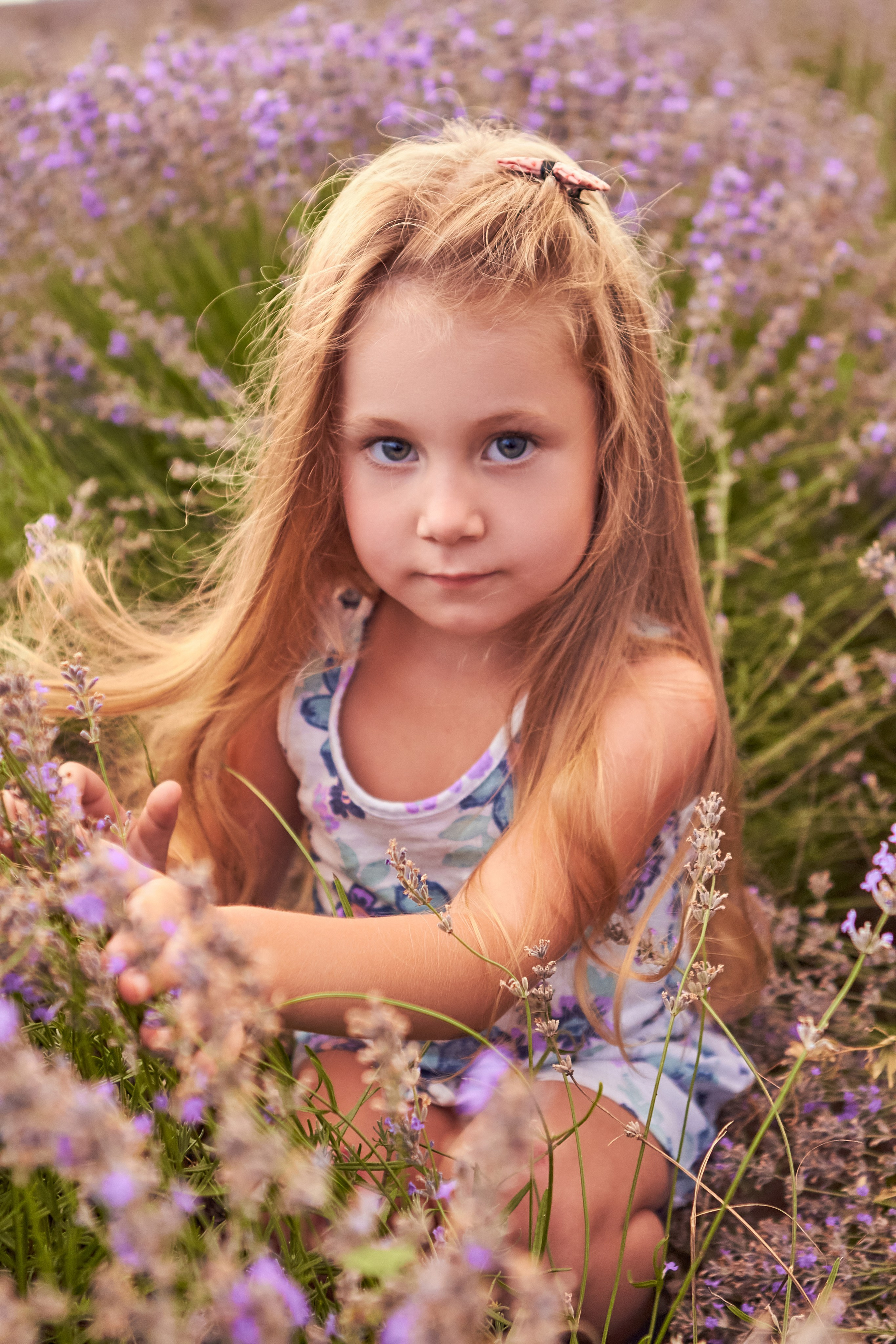 2021.06.22 Лаванда. Ирина Бешляга. Фотограф в Москве и по всей России