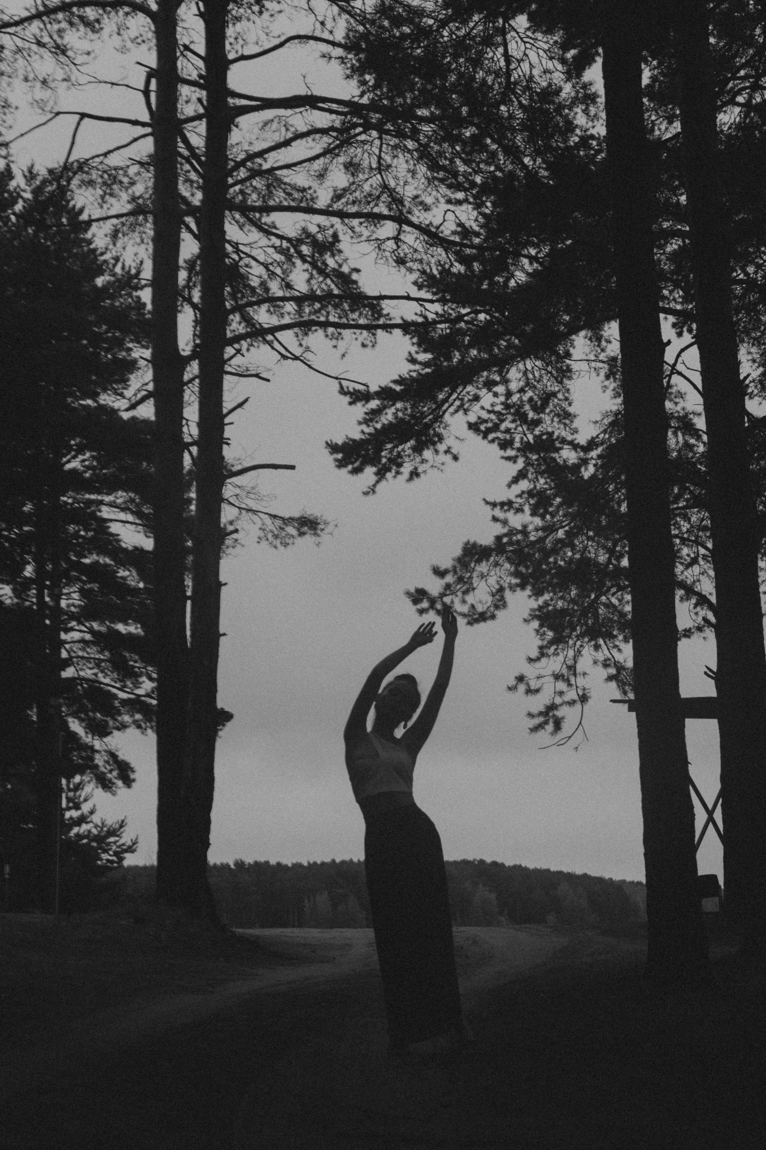 Анастасия. Продюсер