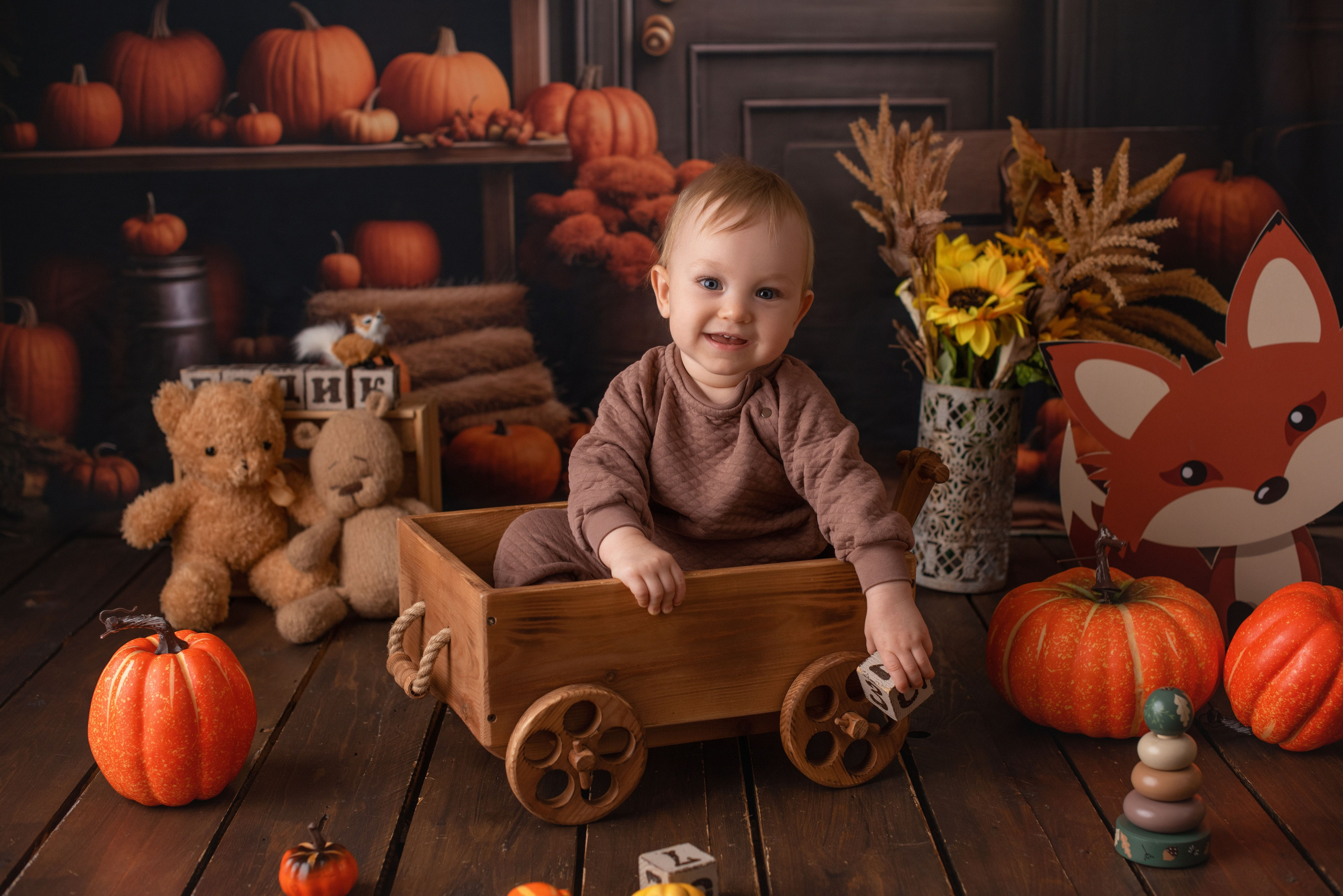 Годики. Фотограф Новорожденных во Владивостоке Ольга Галаницкая